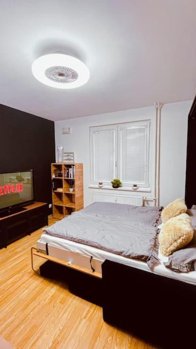 One-Bedroom Apartment photo 3