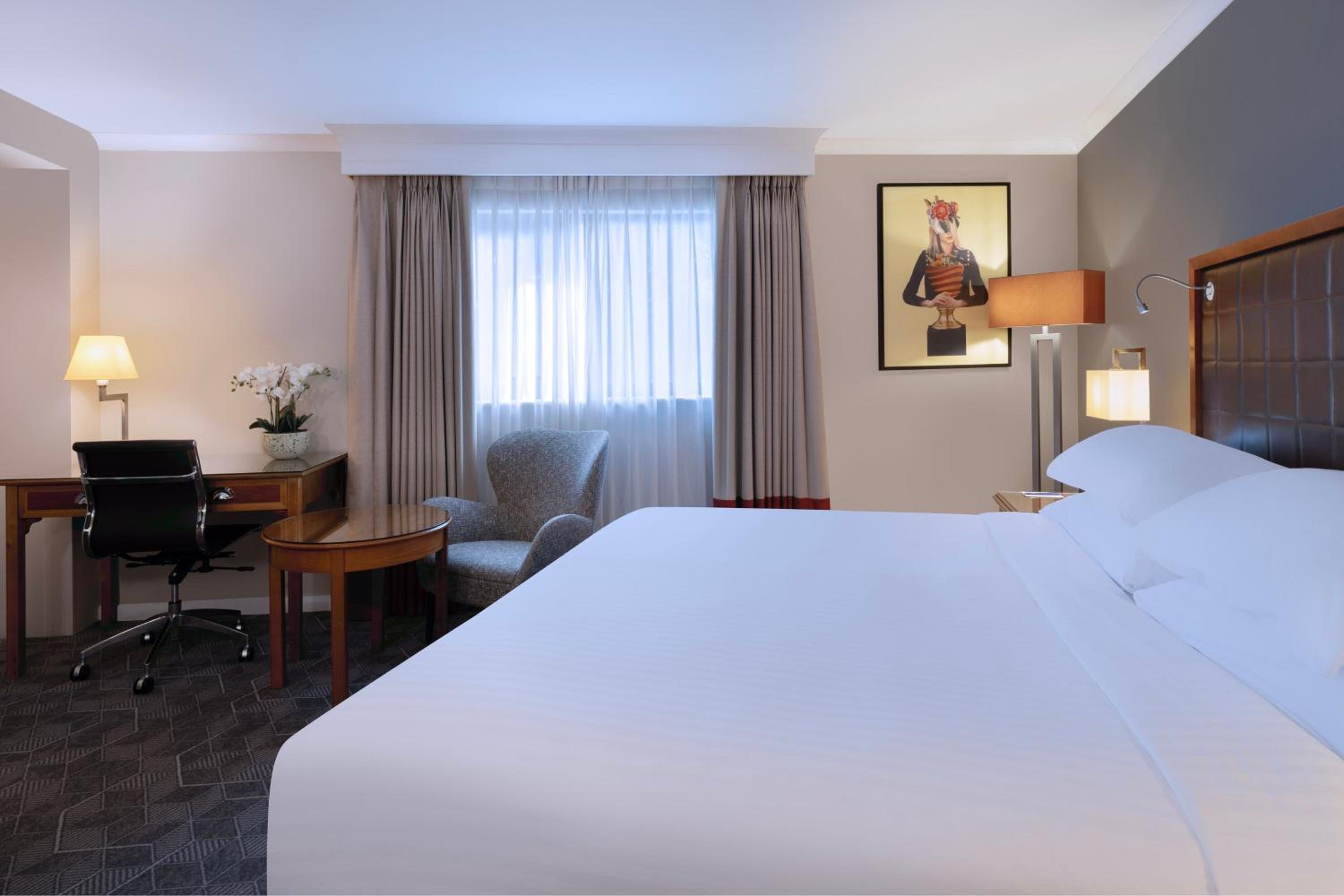 Large Deluxe Queen Room - Photo 2
