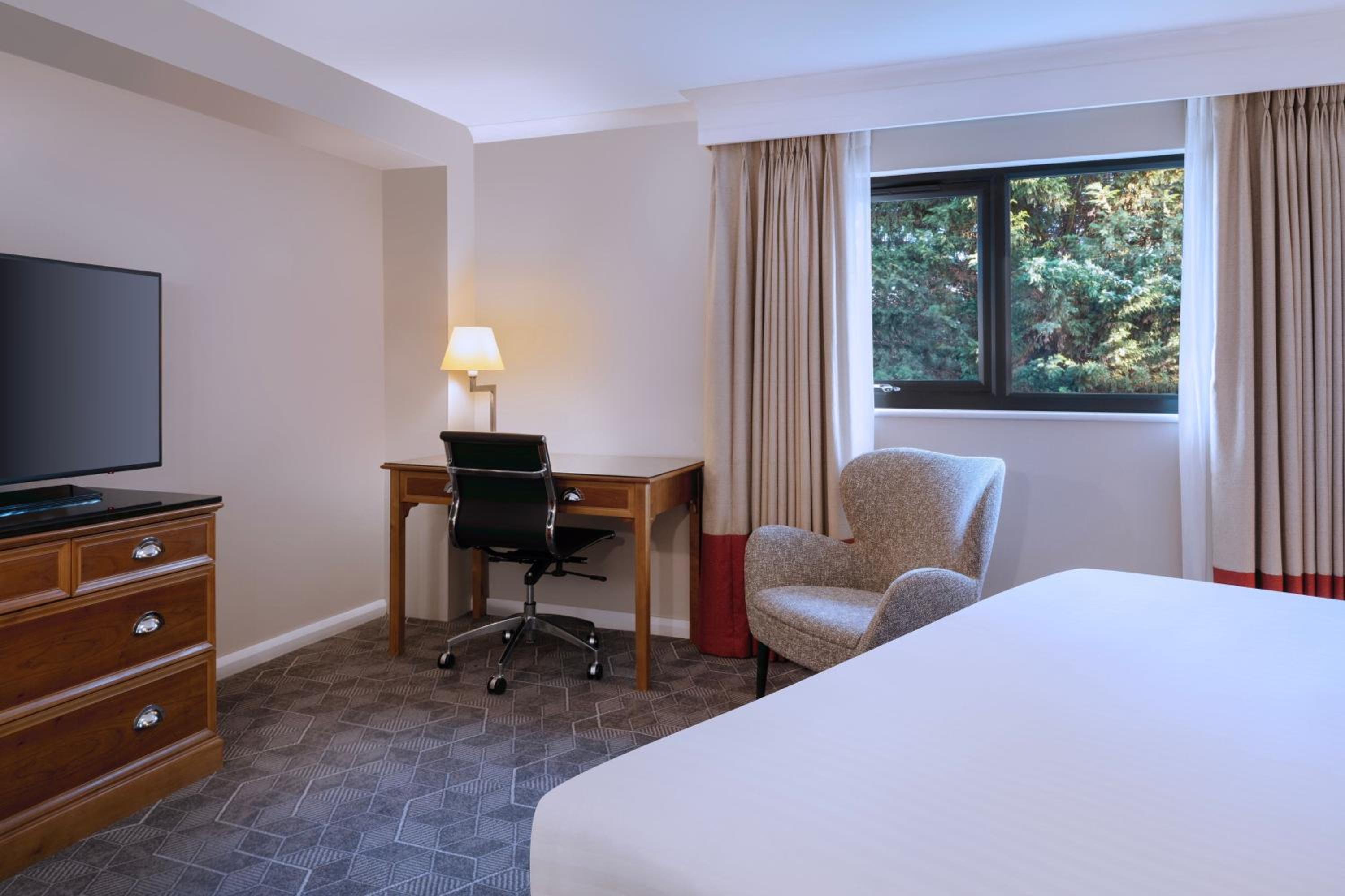Large Deluxe Queen Room - Photo 4