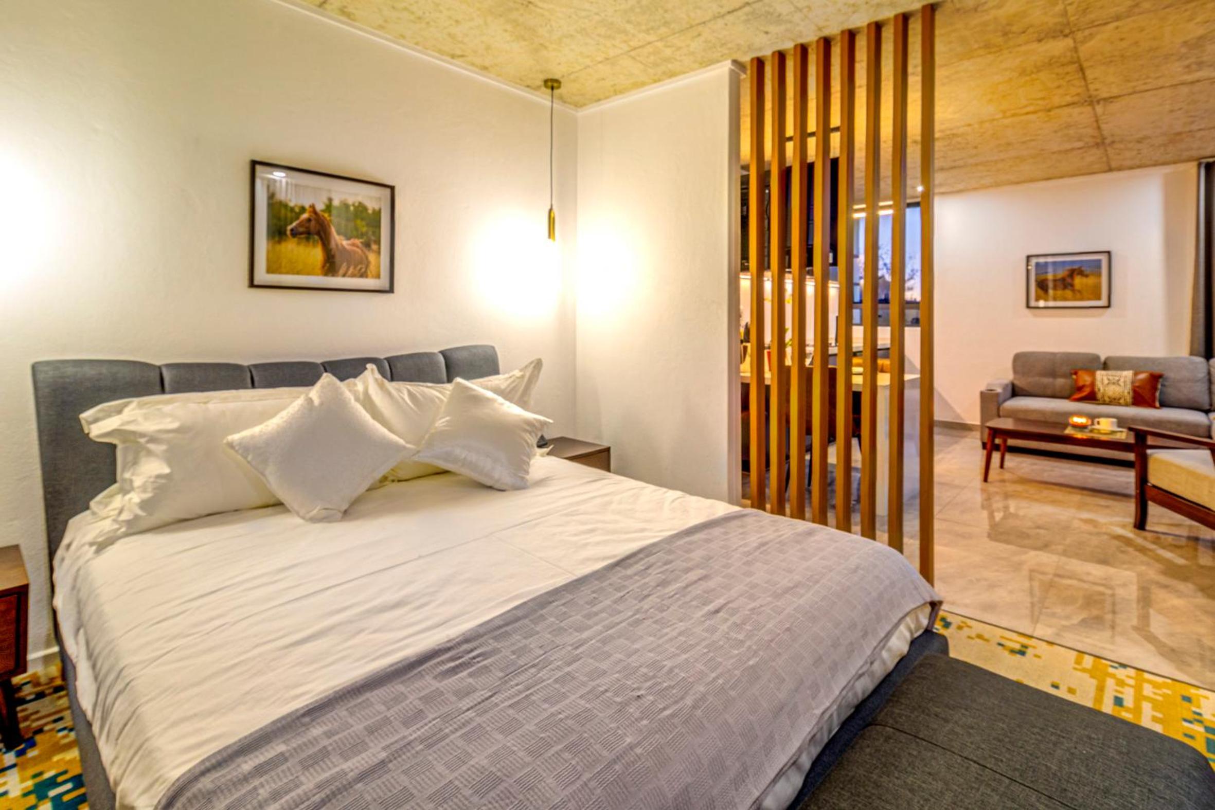 Deluxe Suite - Photo 3