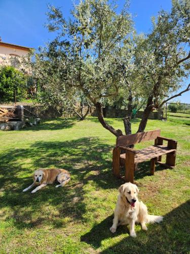Family Room with Private Bathroom