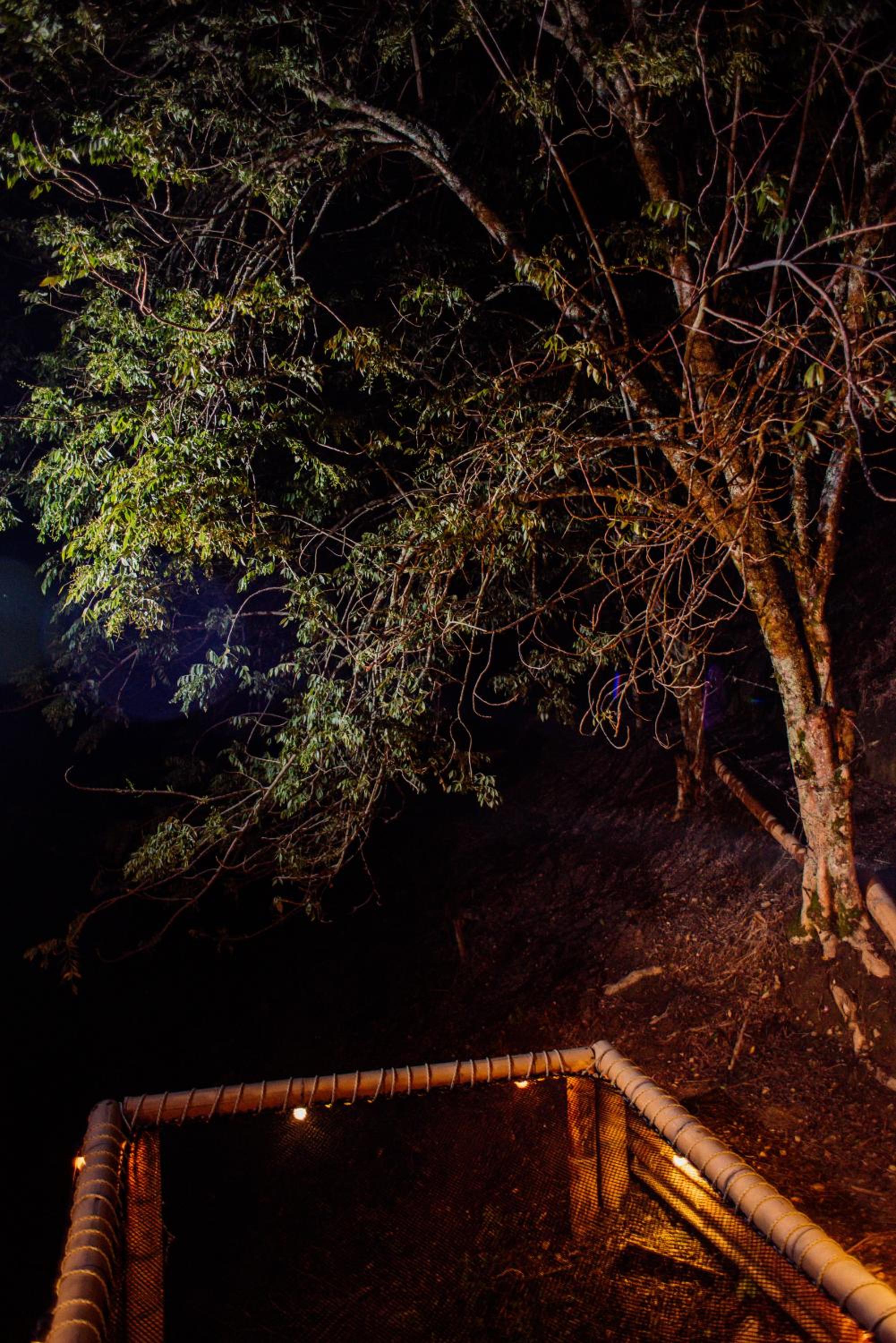 Chalet photo 3