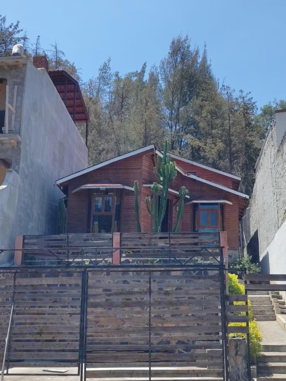 Three-Bedroom Chalet - Photo 13