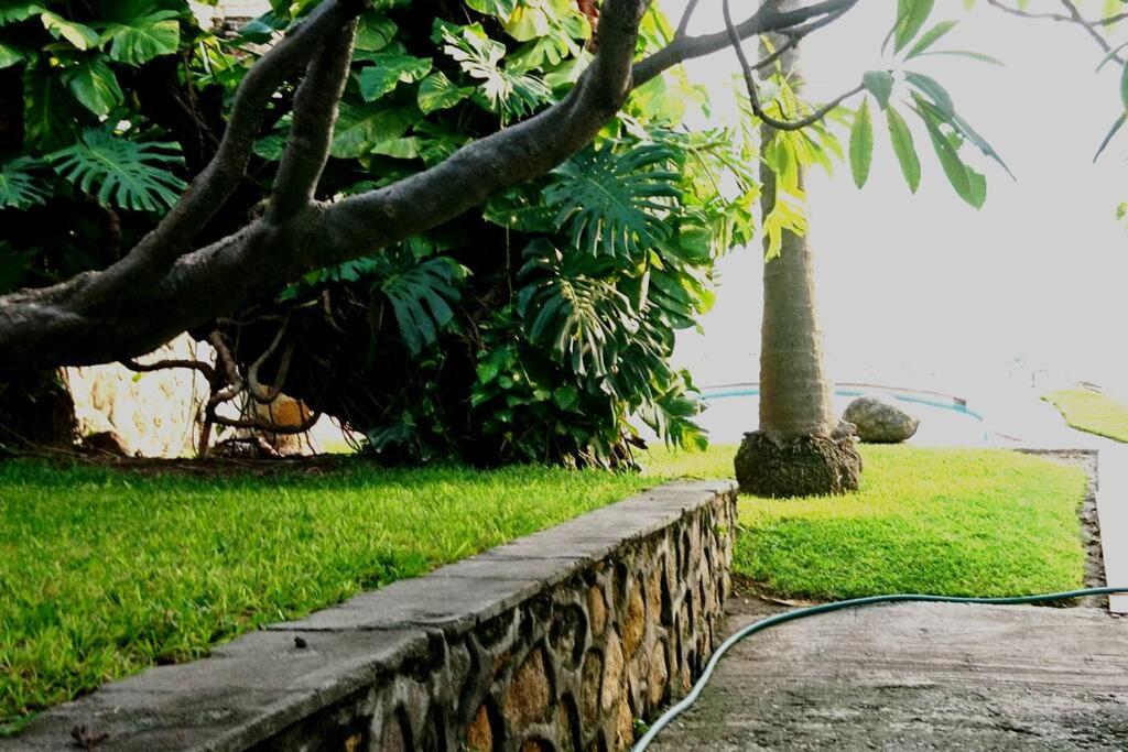 One-Bedroom Villa photo 2