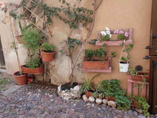 Maisonette