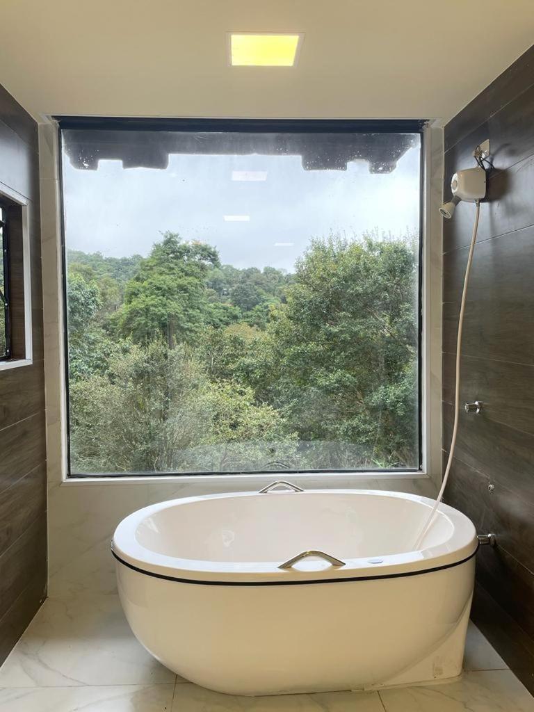 Superior Suite photo 2