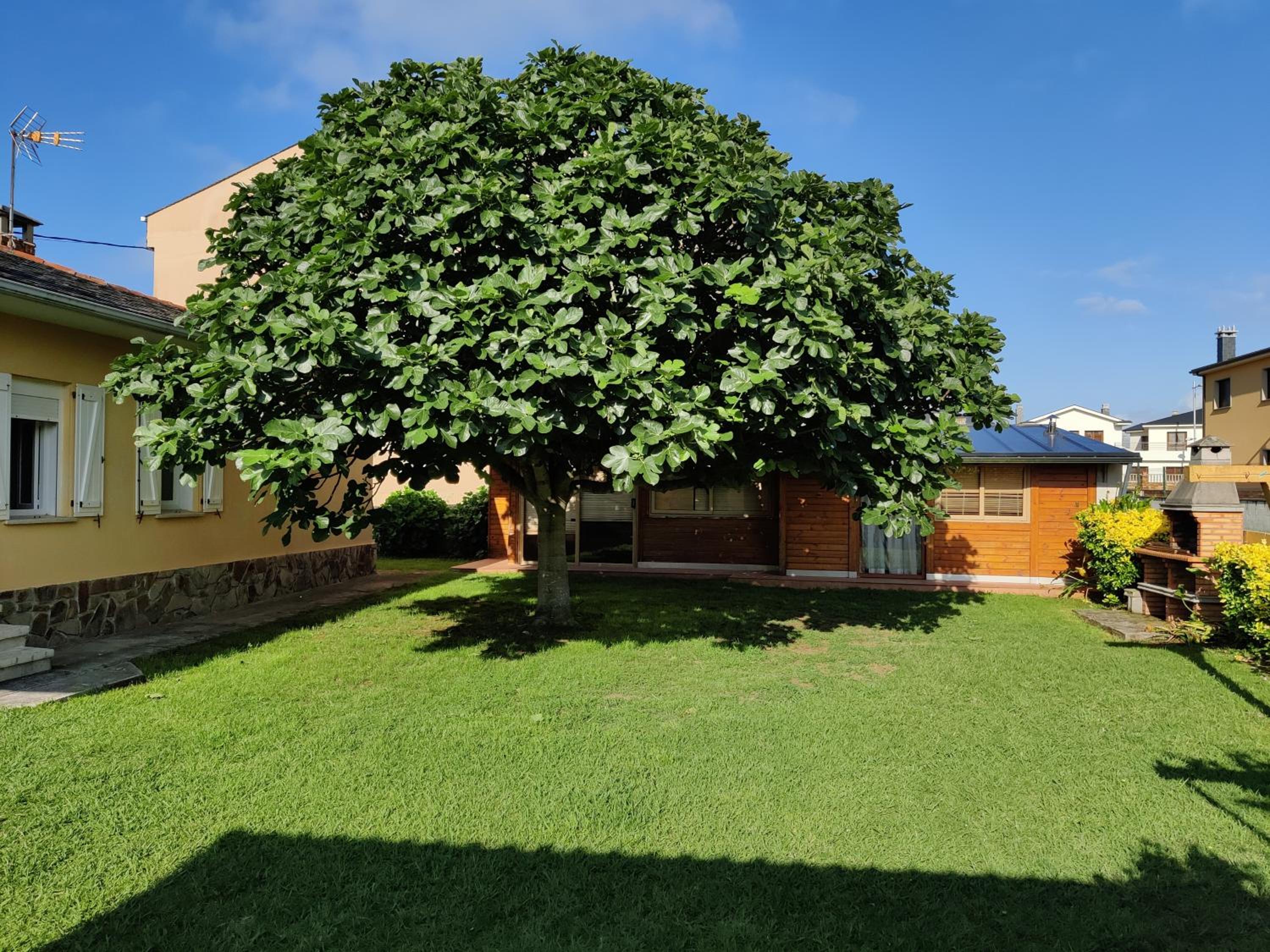 Four-Bedroom House photo 3