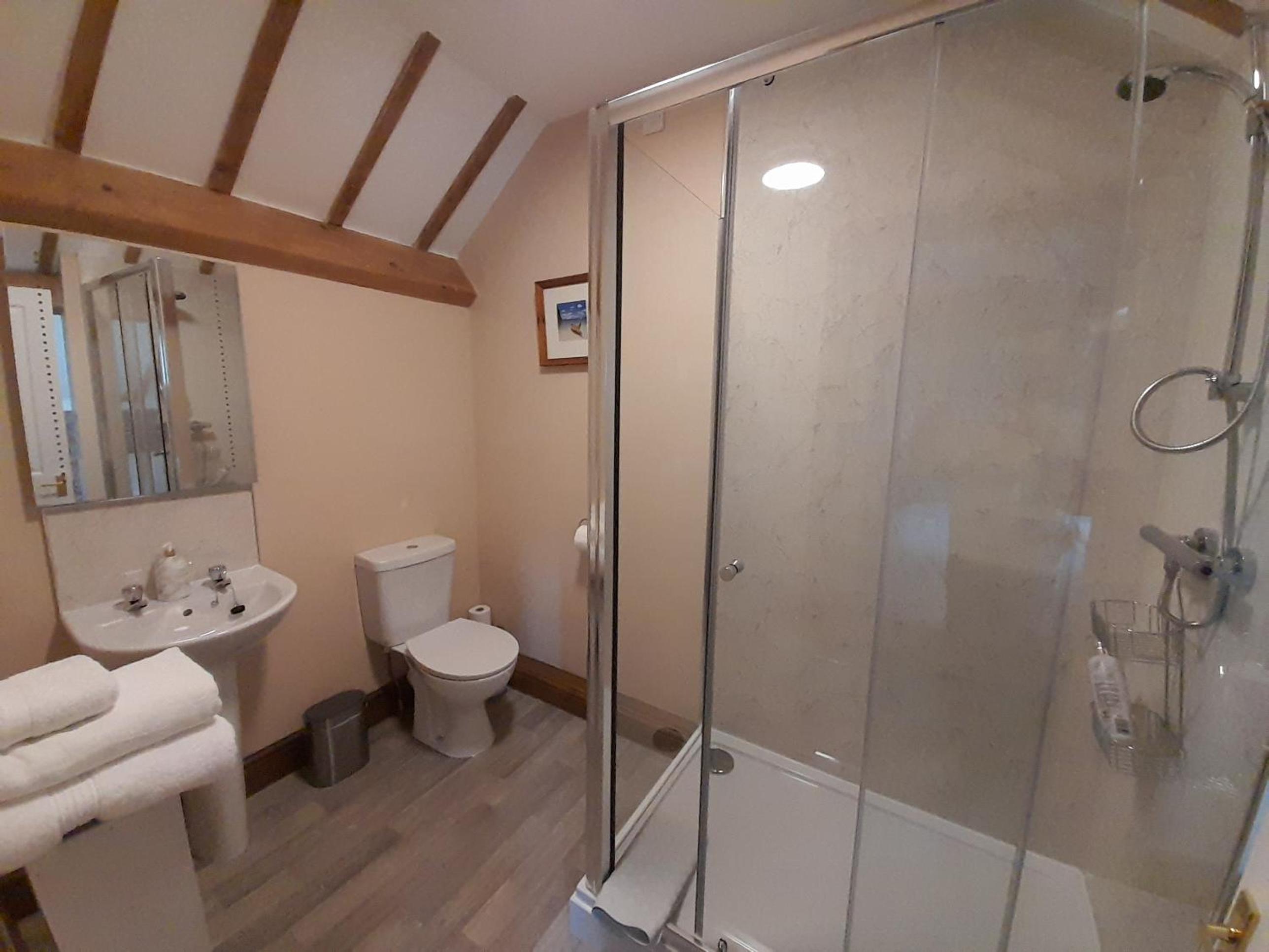 Deluxe King Room - Photo 7