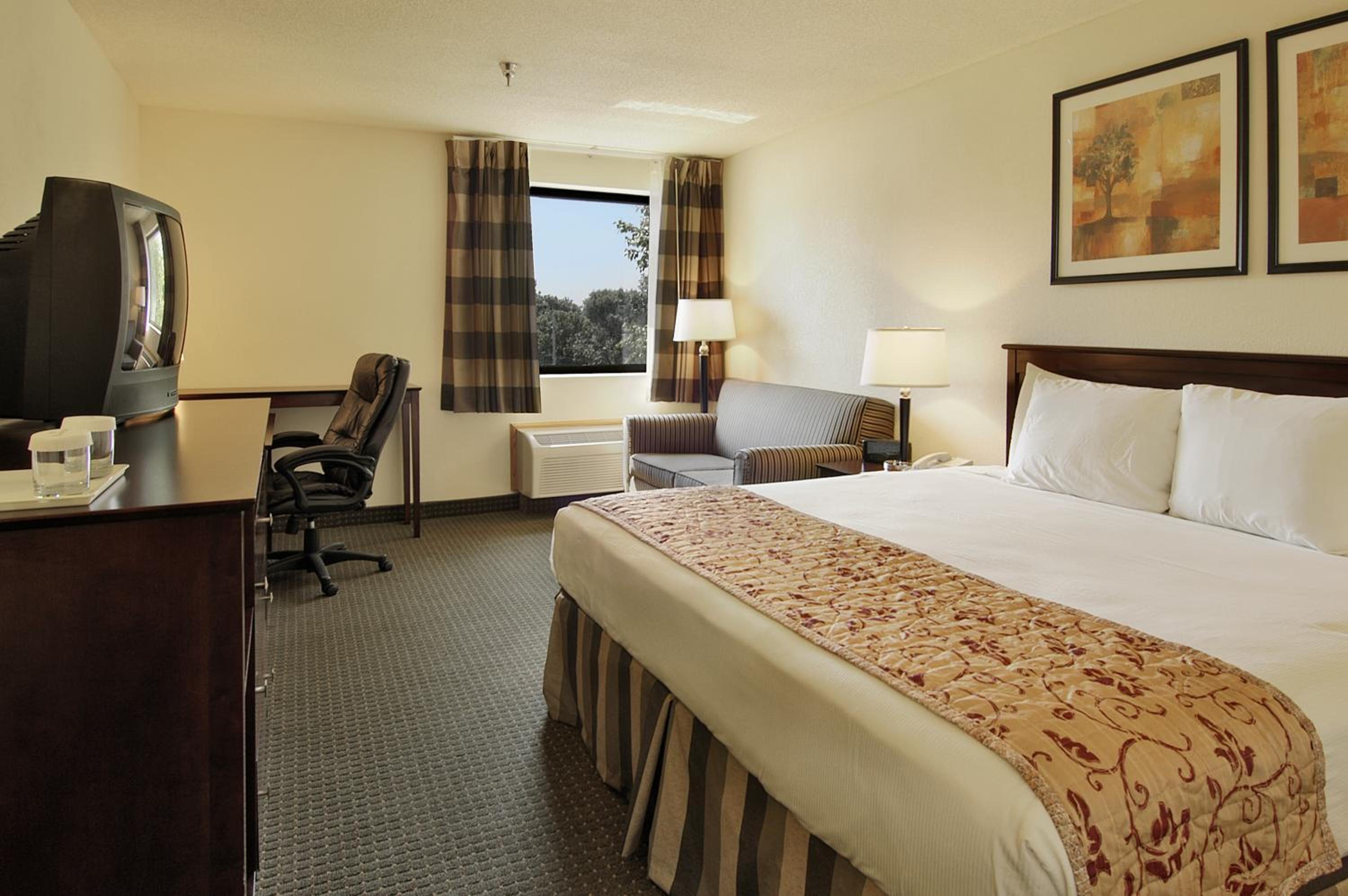 King Room - Pet Friendly - Photo 4