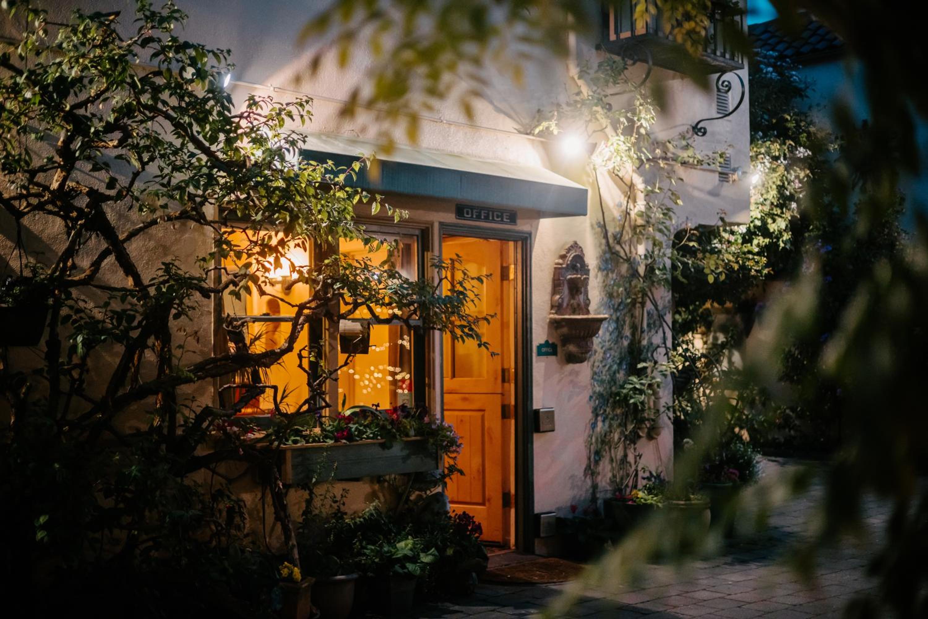 Courtyard King Suite (Dog Friendly)