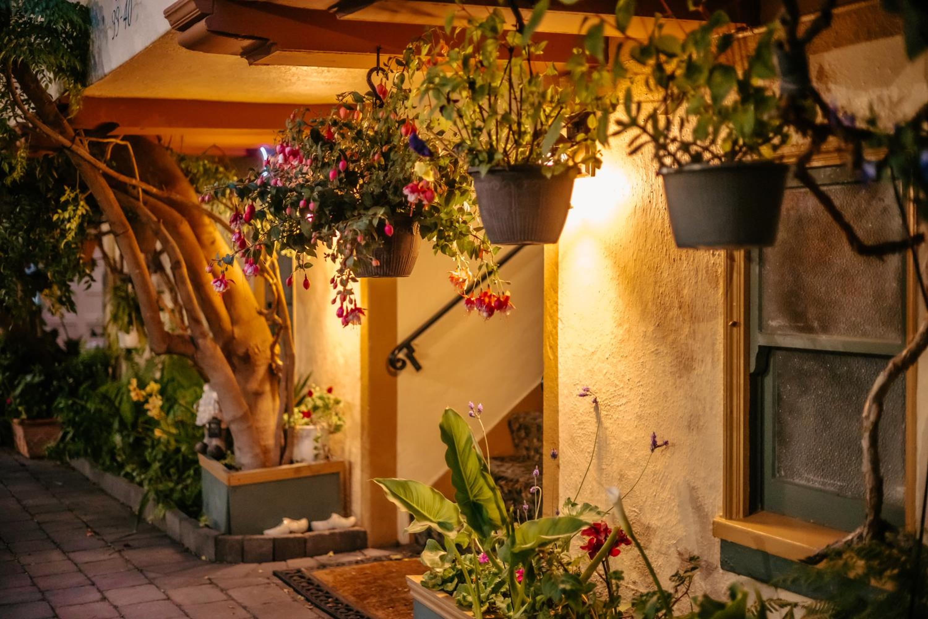 Courtyard Room with Two Double Beds and Kitchen (Dog Friendly)