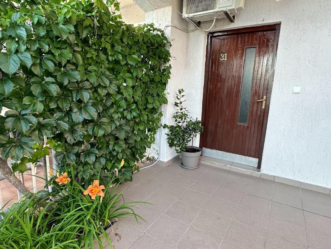 Apartment - Ground Floor photo 3