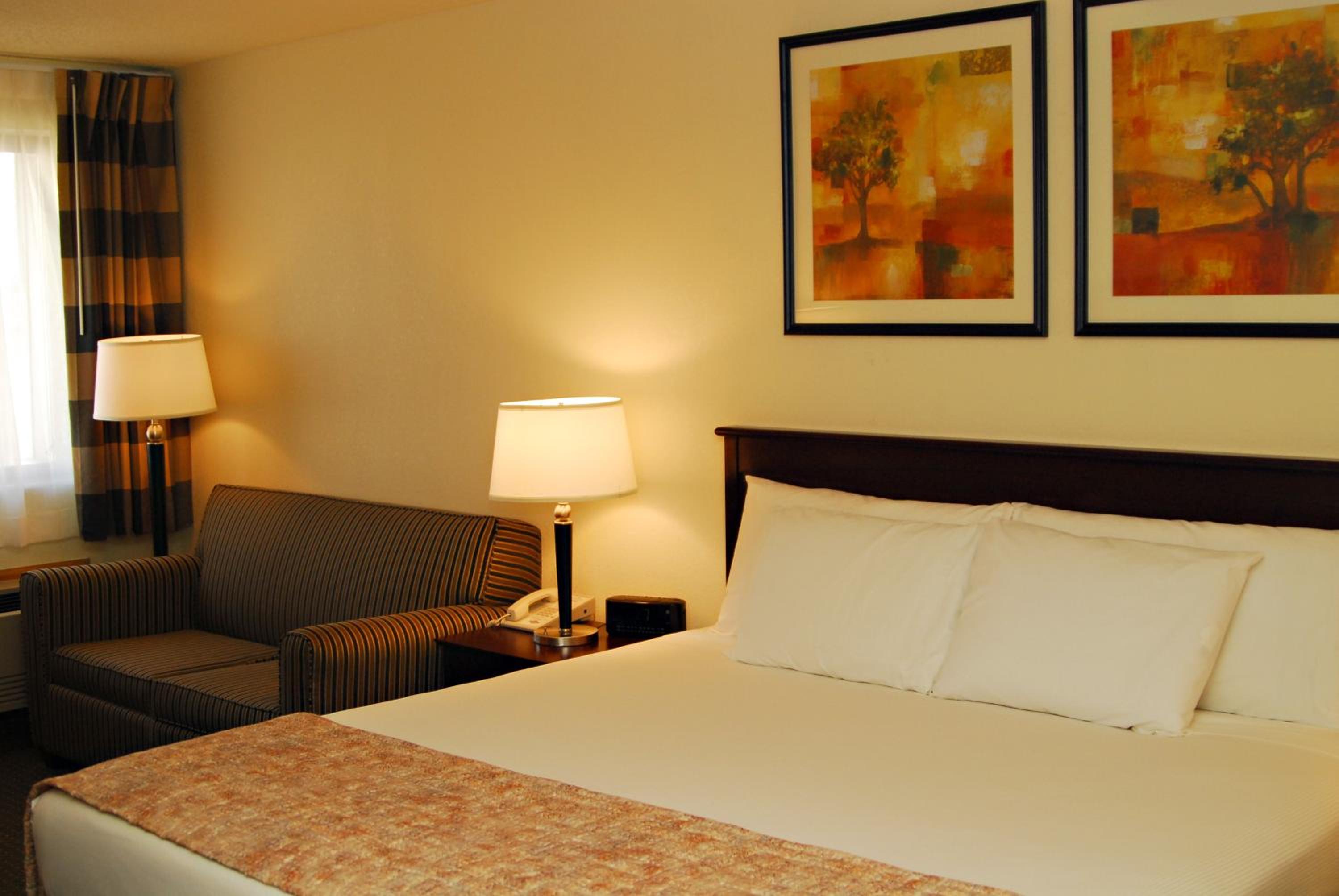 Deluxe King Family Suite - Photo 4