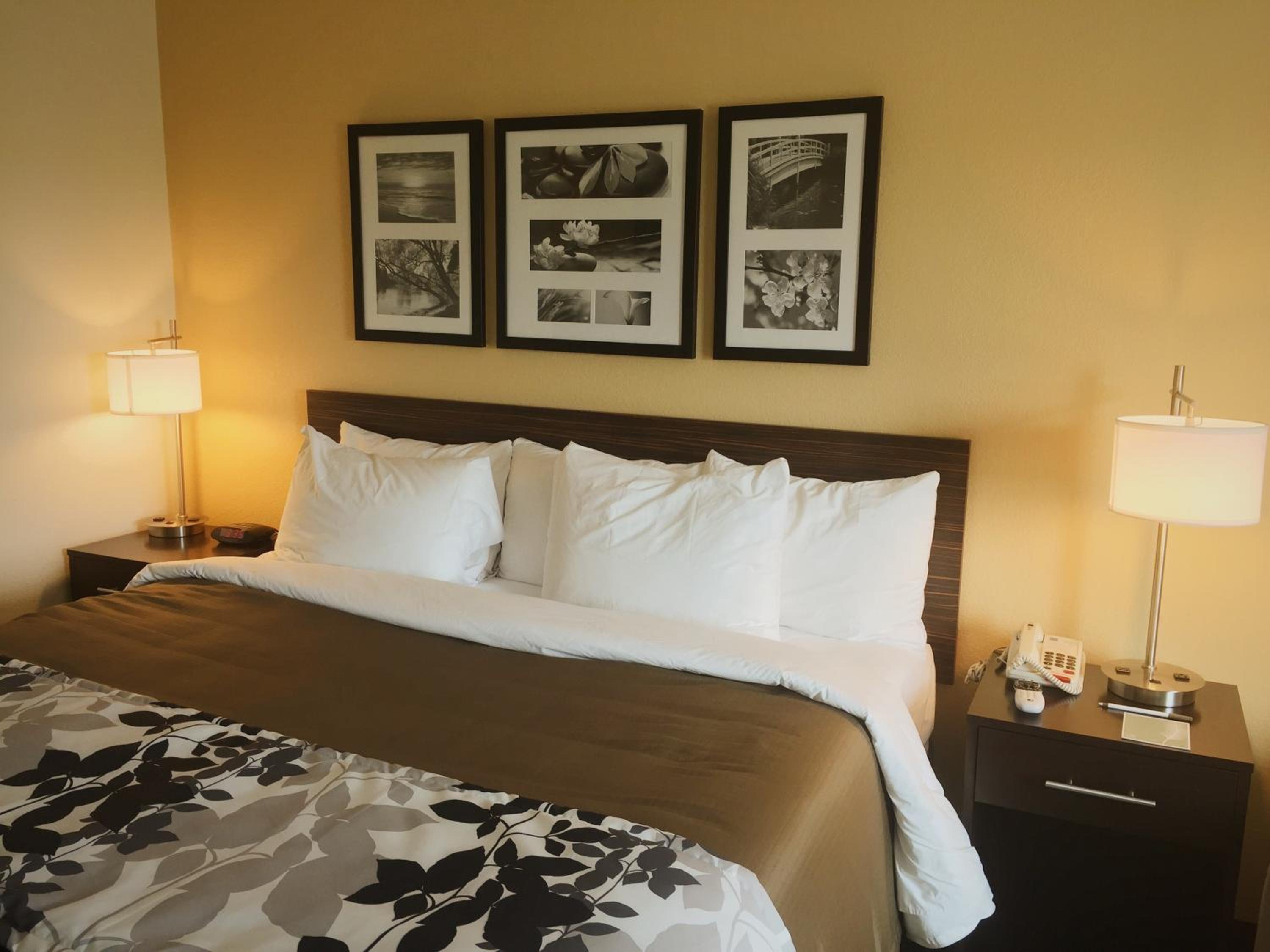 King Suite - Accessible/Non-Smoking photo 3