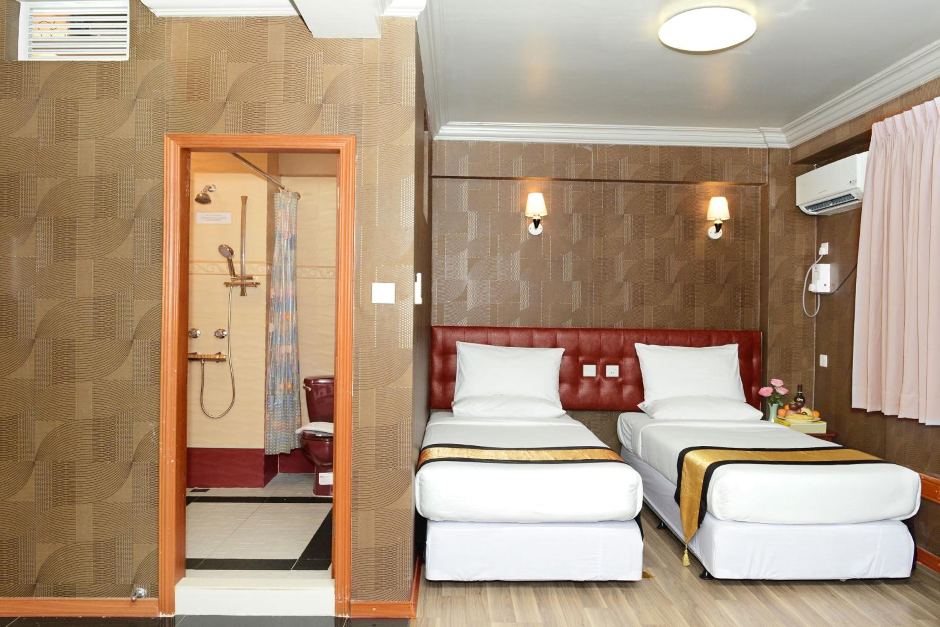 Deluxe Double or Twin Room with City View photo 3
