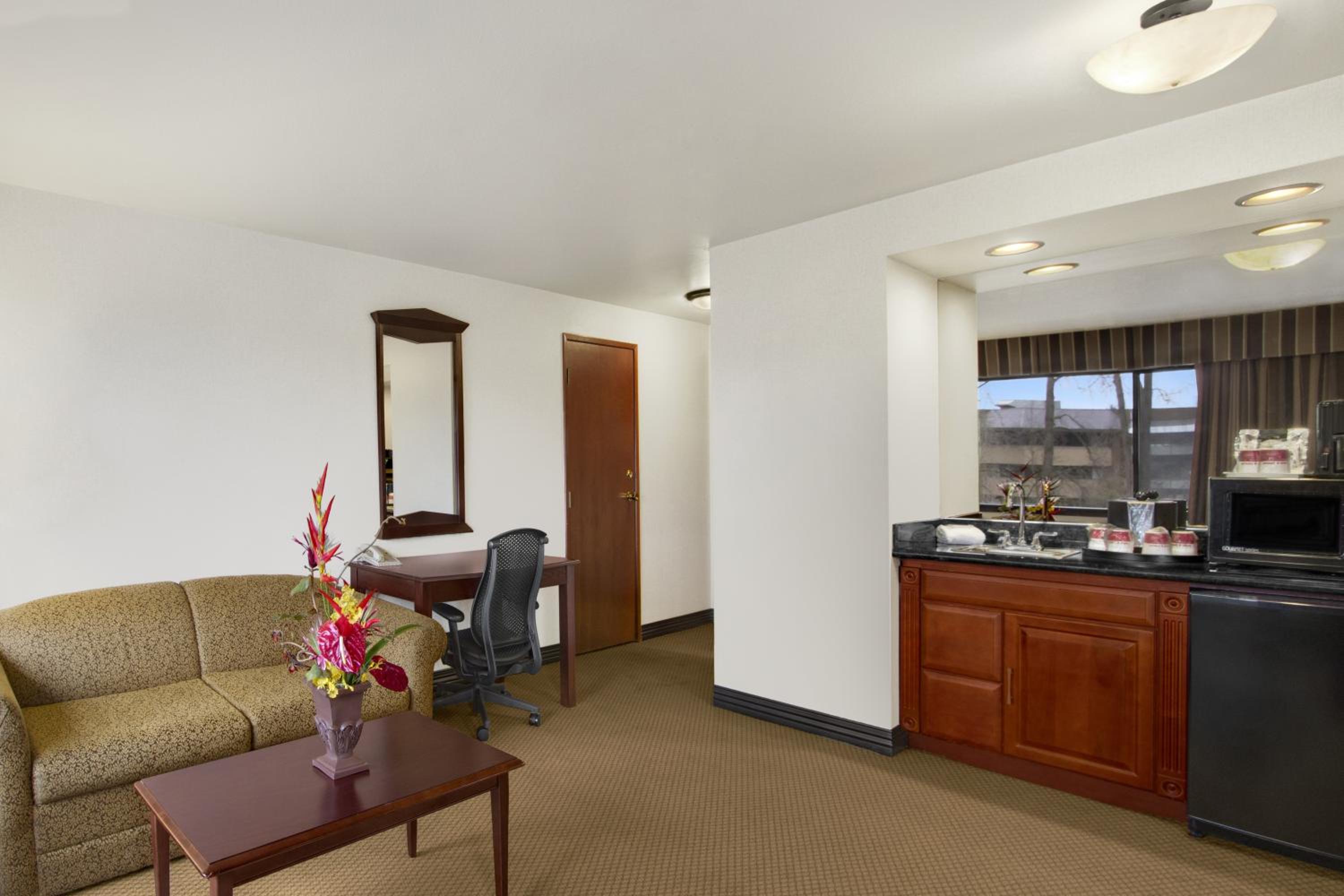 1 King Bed, Studio Suite, Non Smoking - Photo 1
