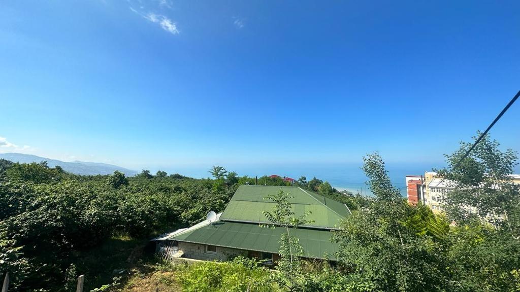 Two-Bedroom Villa photo 2