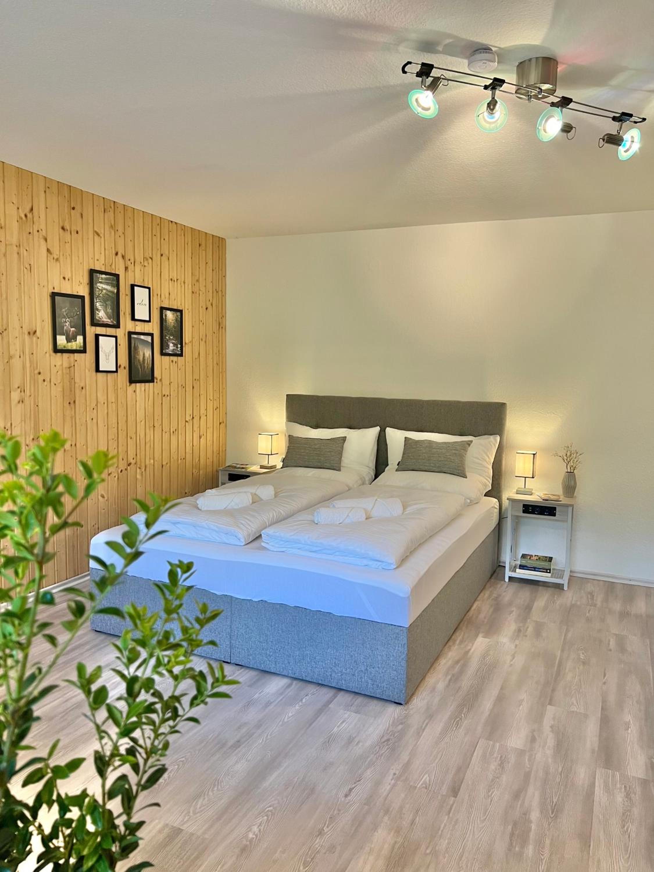 Apartment With Terrace photo 1