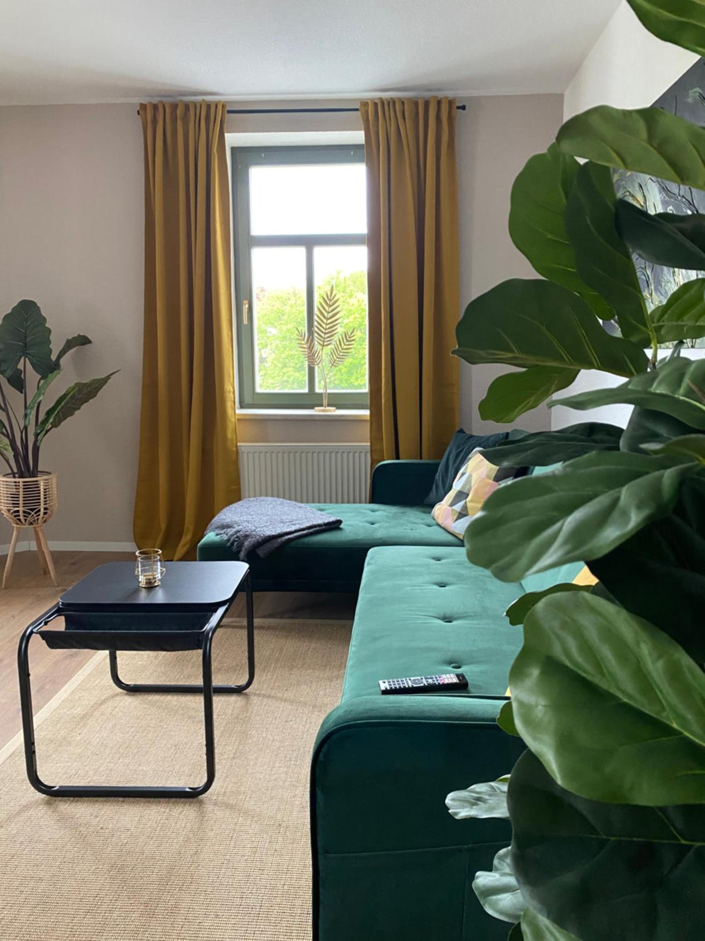 One-Bedroom Apartment photo 2