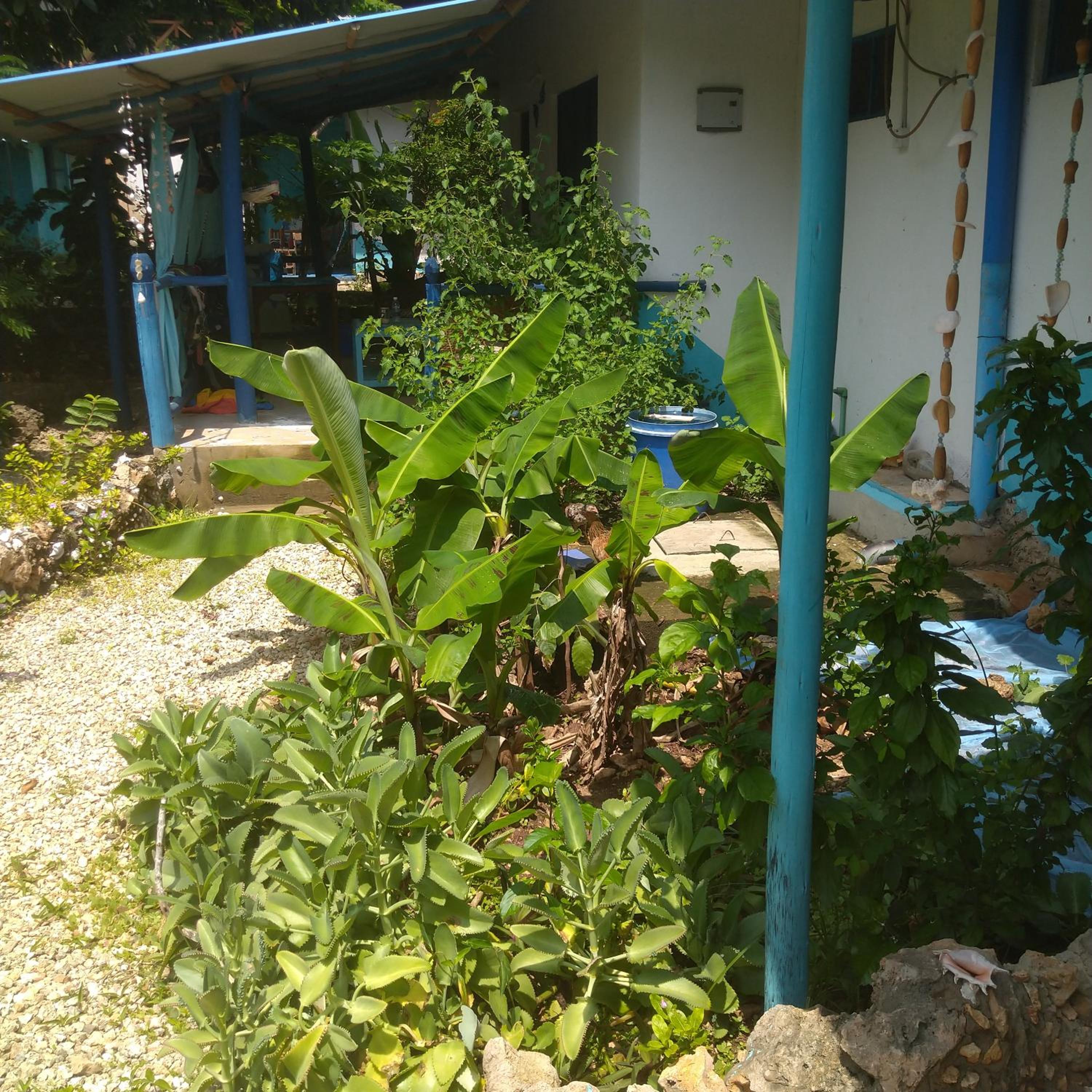 Double Room with Terrace photo 3