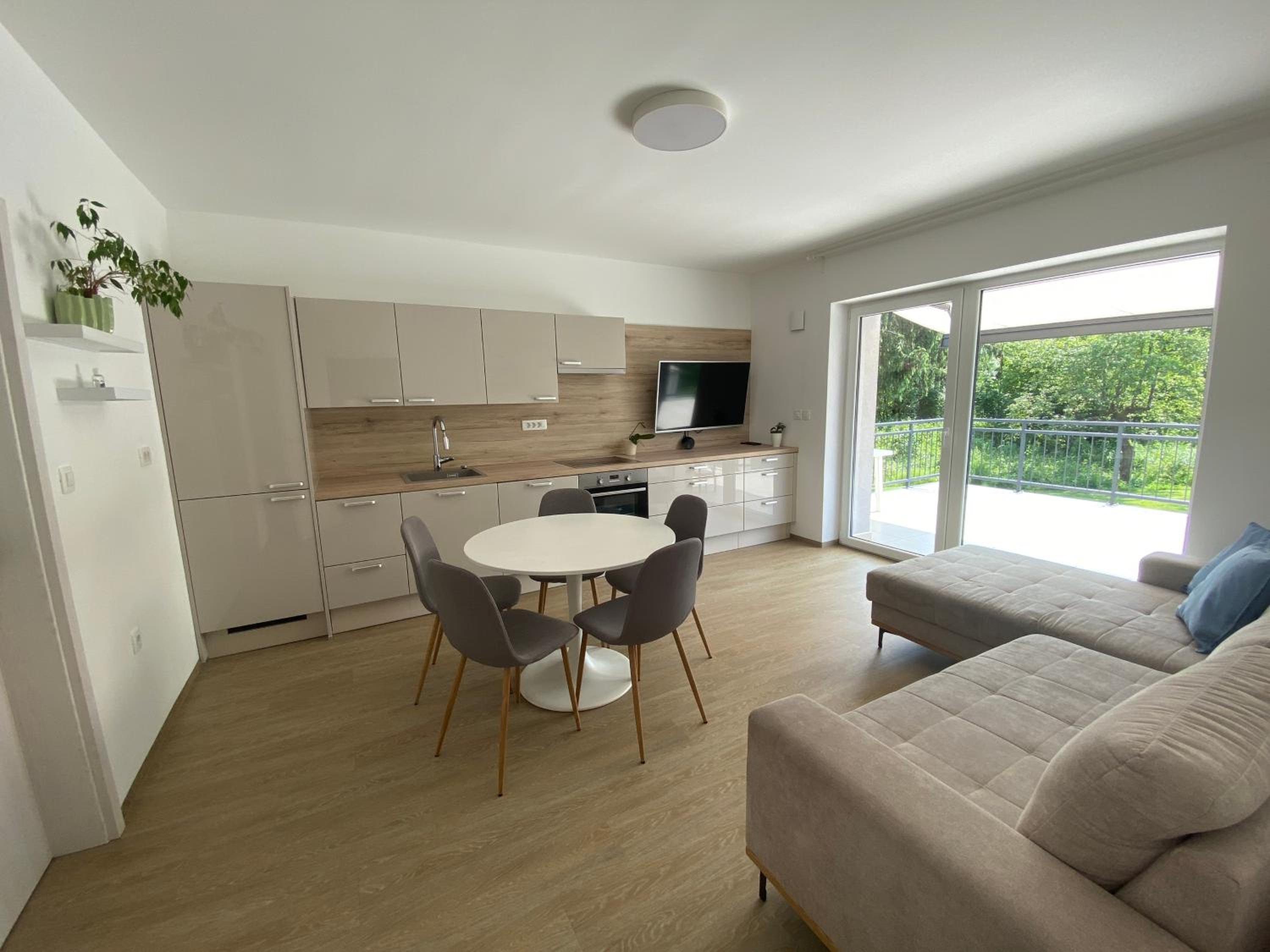 Apartment with Terrace photo 2