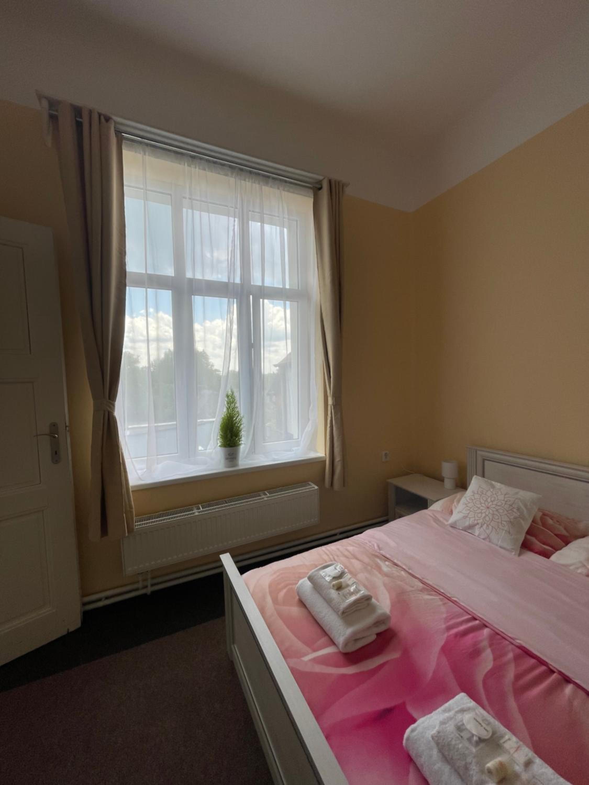 Single Room photo 1
