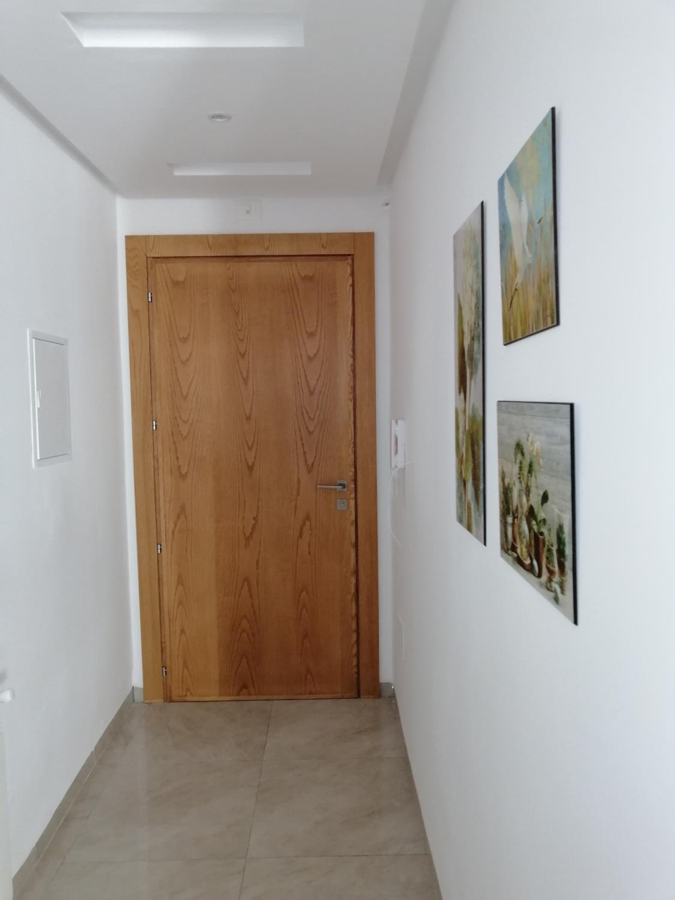One-Bedroom Apartment photo 2