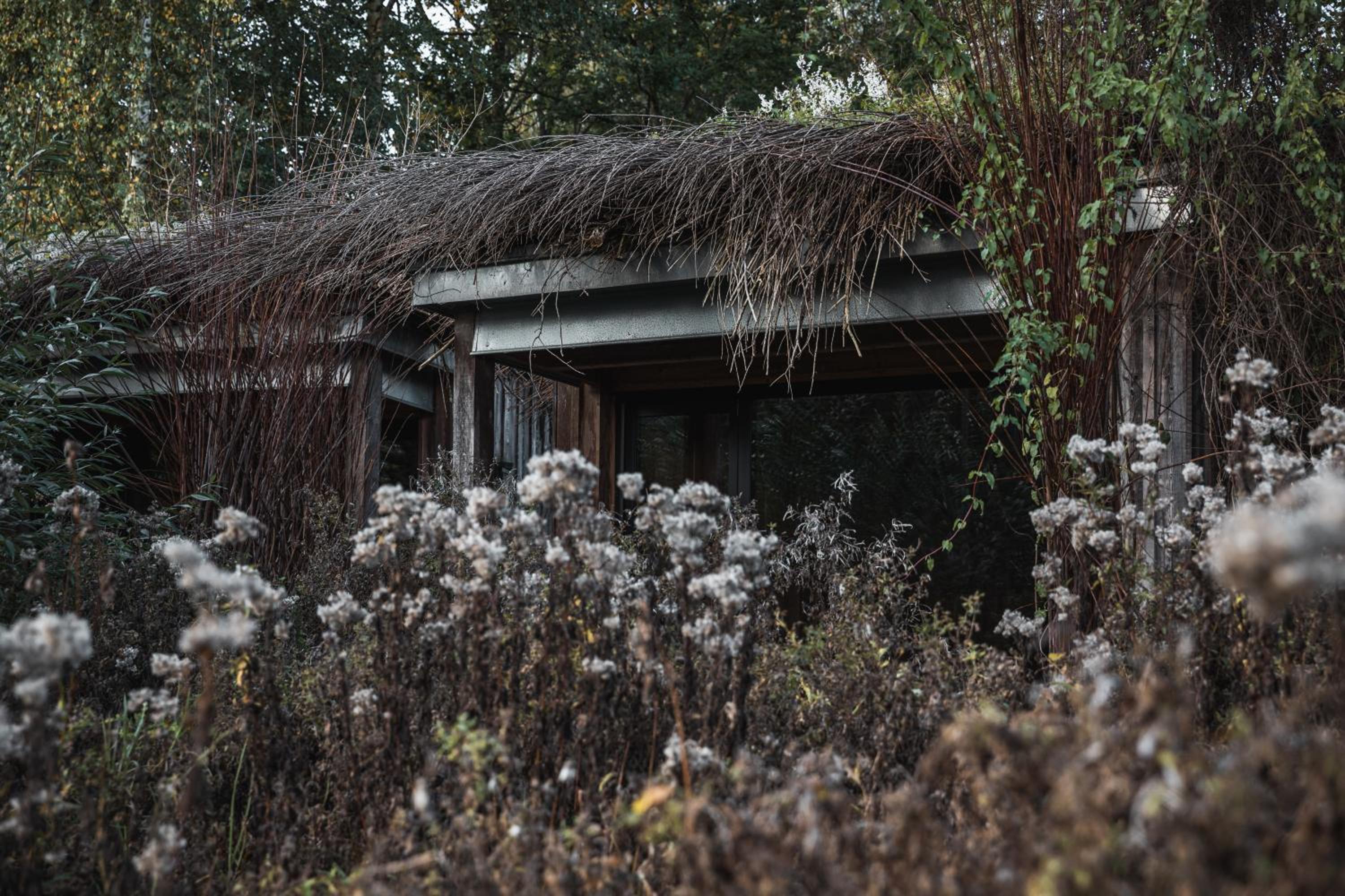Hut (2 Adults) photo 1