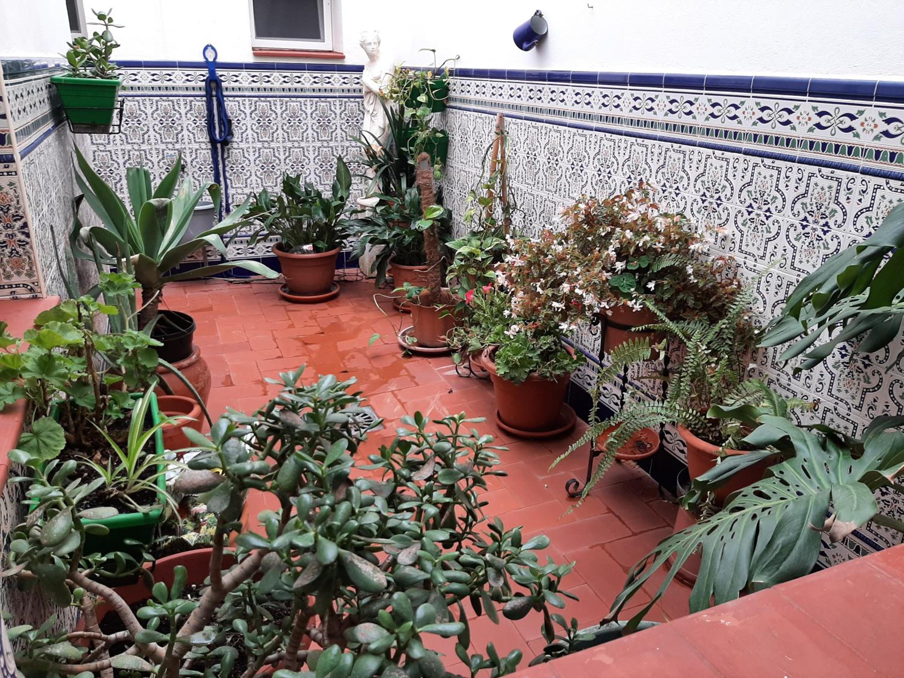 Hotel Valle Guadiaro, Foto 11