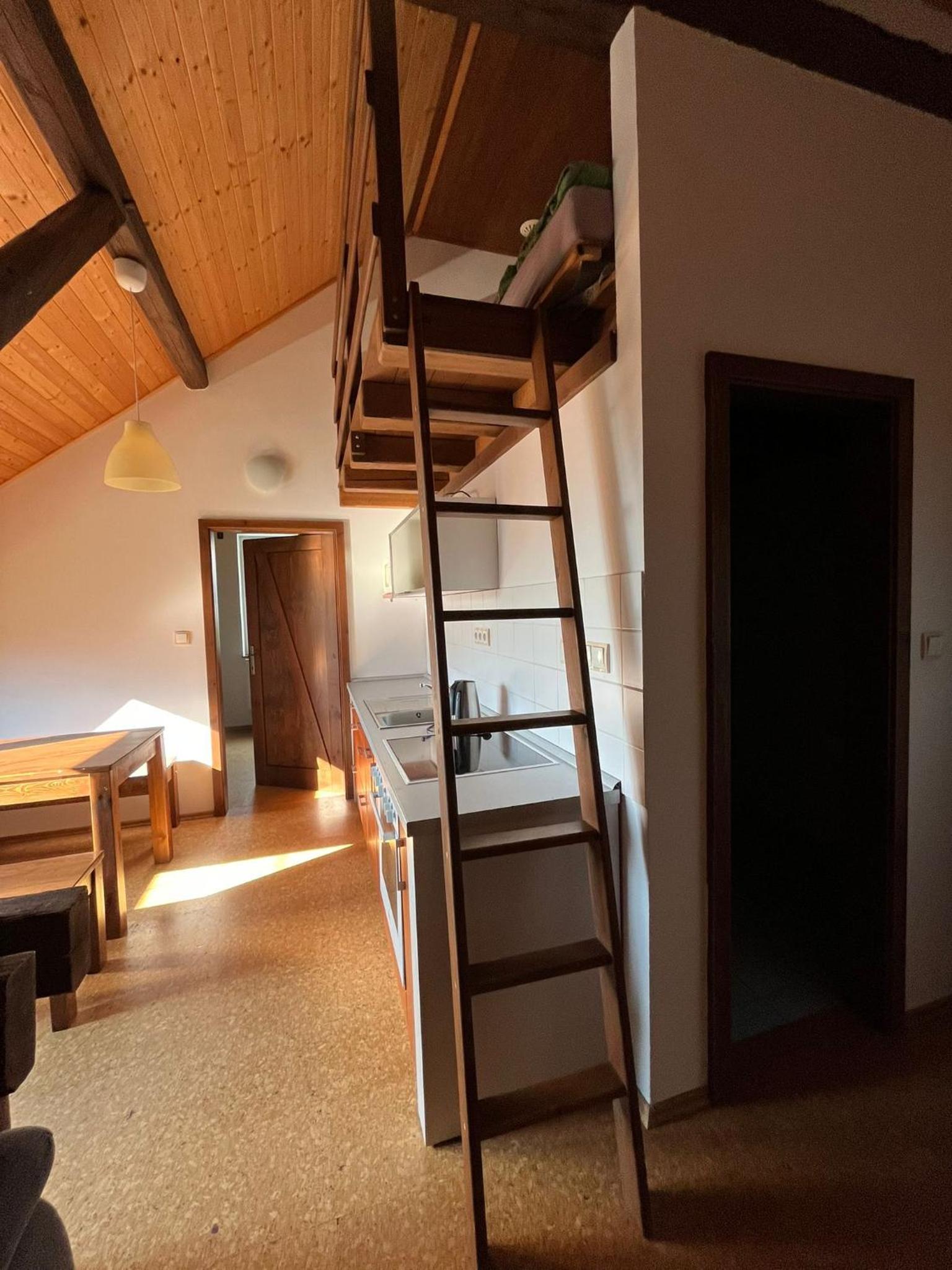 One-Bedroom Apartment (5 Adults) photo 3