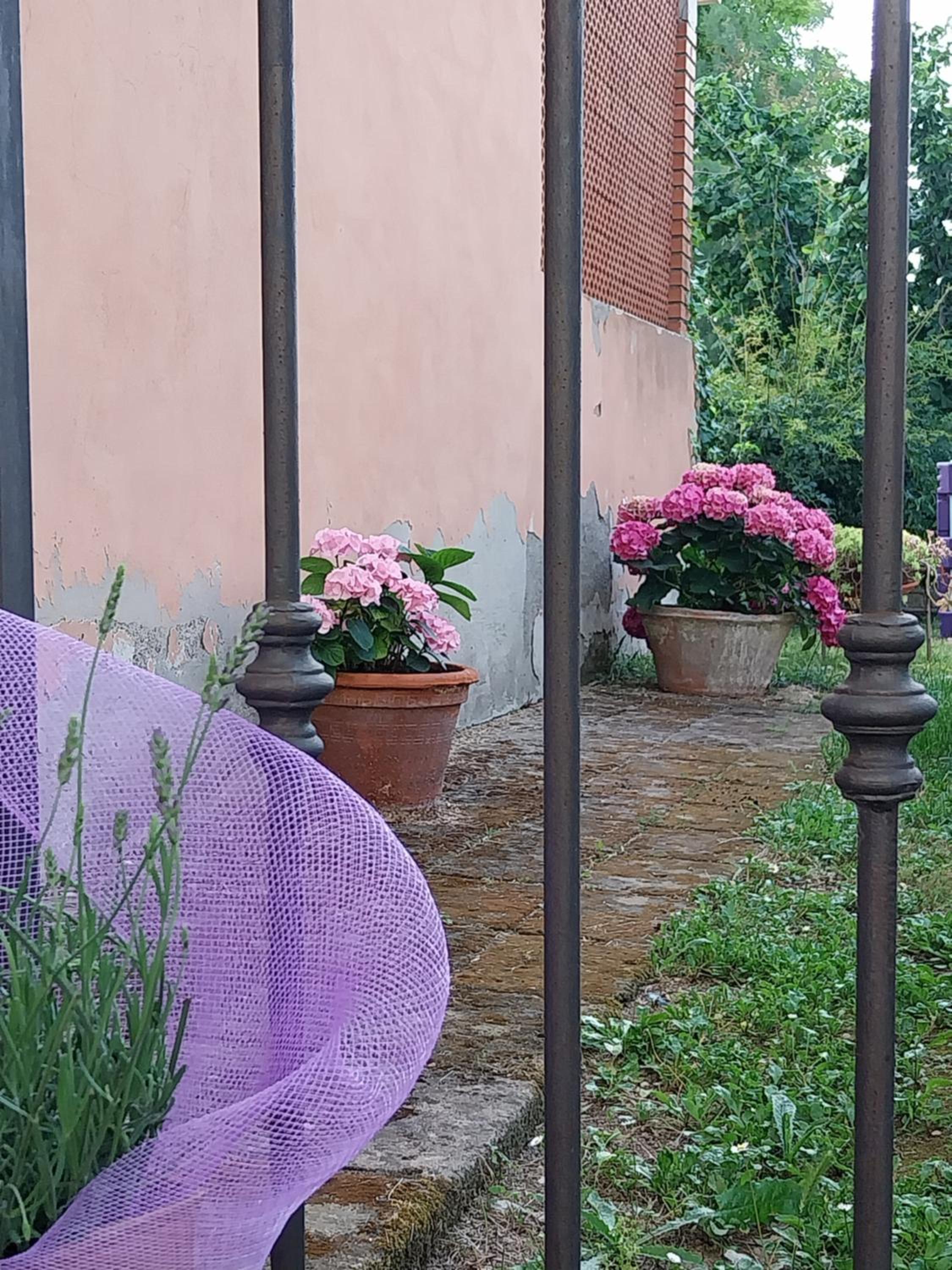 Apartment with Garden View photo 2