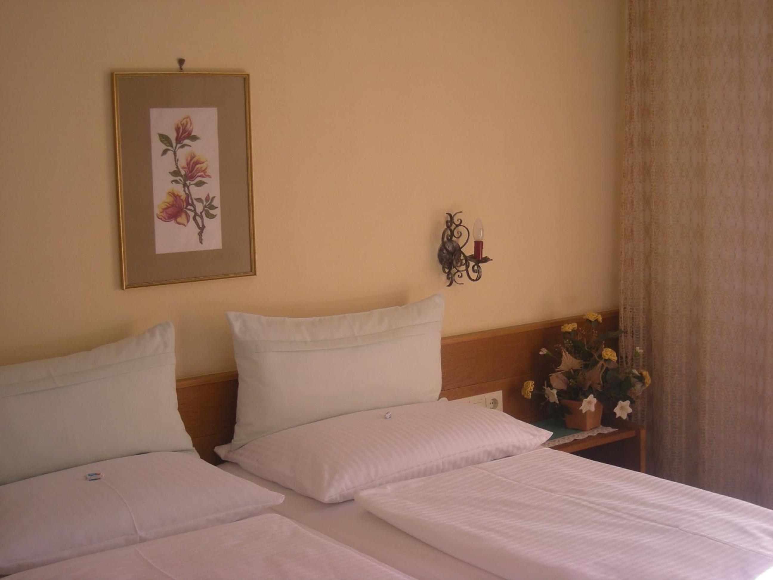 Double Room with Mountain View photo 3