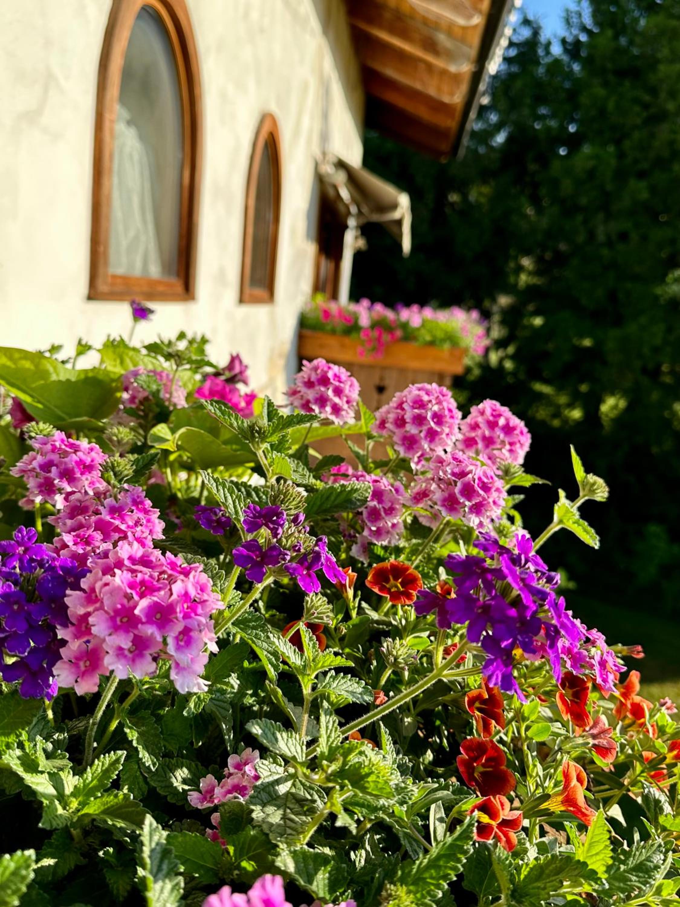 Rosengarten photo 2