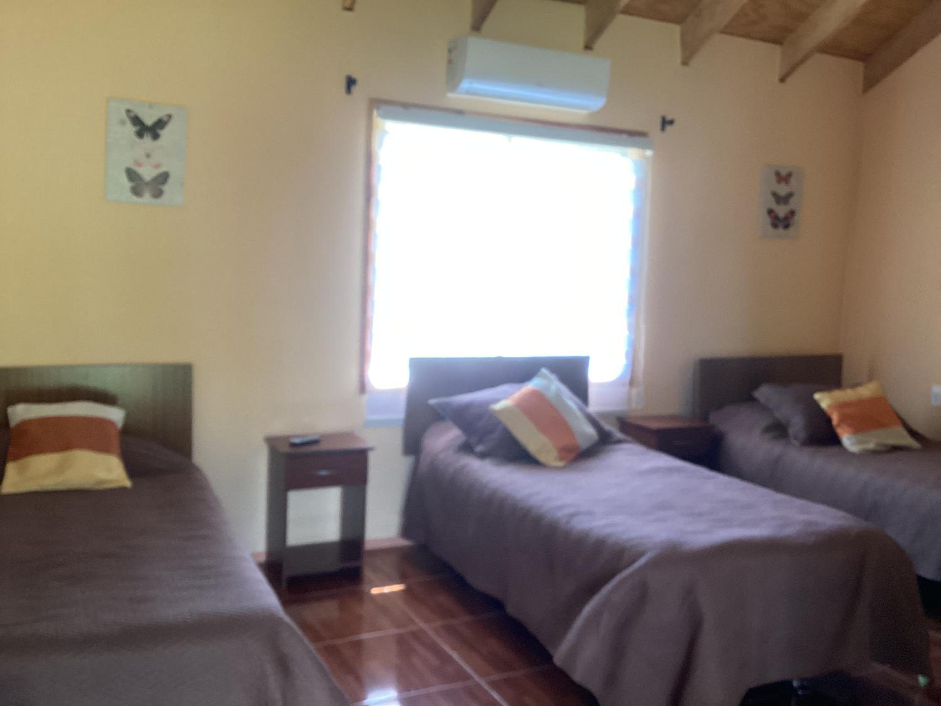 Triple Suite photo 1