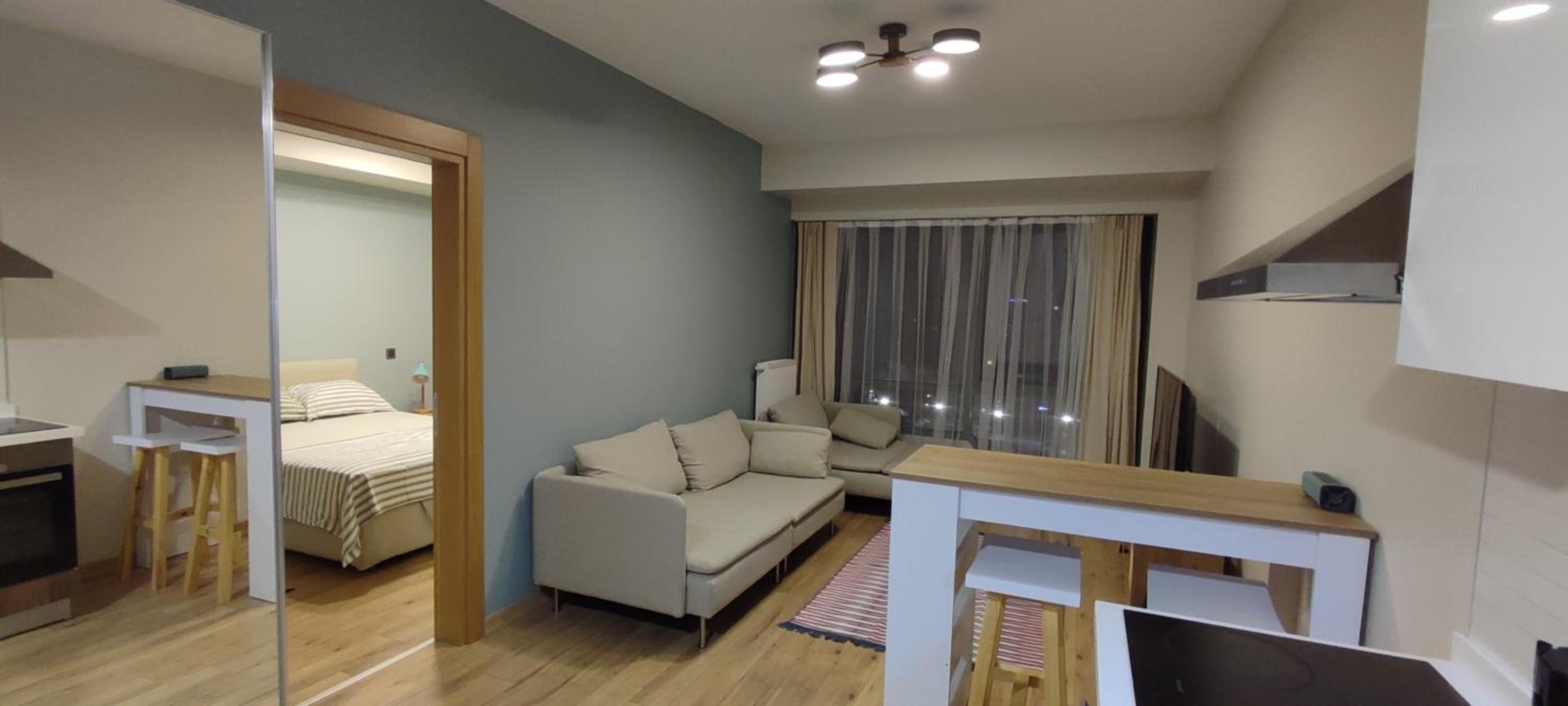 One-Bedroom Apartment photo 1