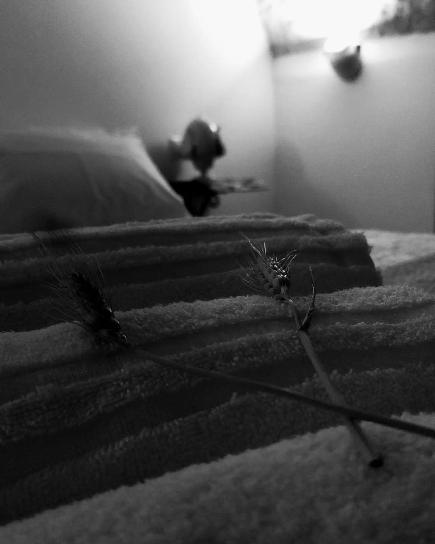 Deluxe Suite with Spa Bath photo 1