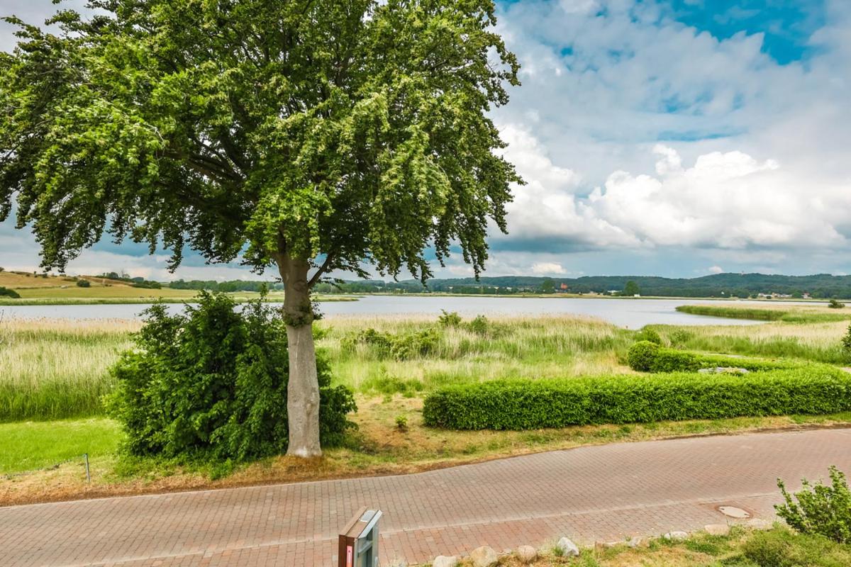 Apartment with Lake View - Photo 30