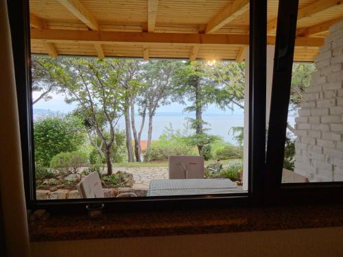 Studio Apartment with Terrace photo 3