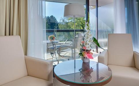 Premium Room Plus with Wellness Access - Photo 8