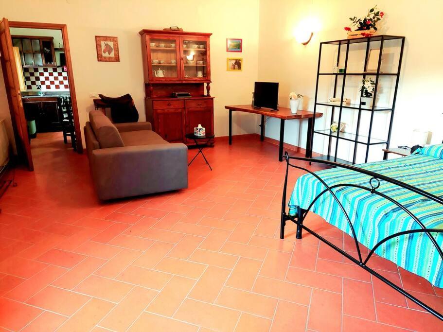One-Bedroom Apartment photo 2