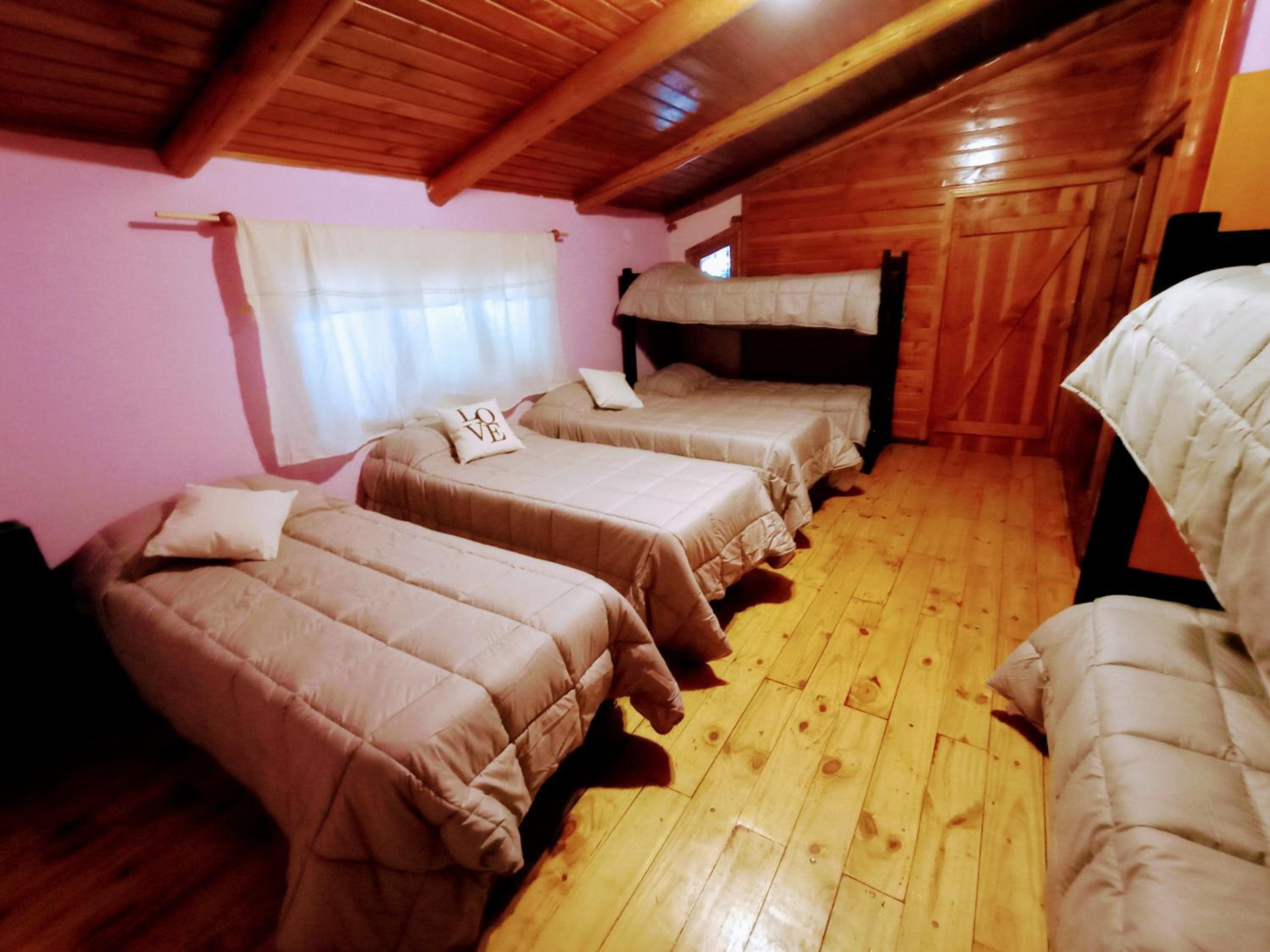 Single Bed In Mixed Dormitory Room photo 3