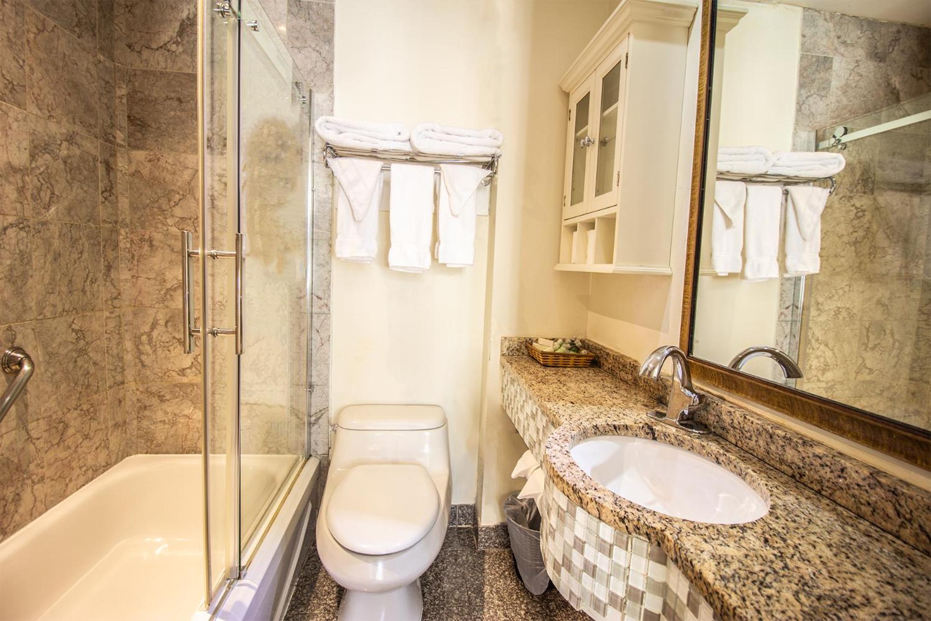 Deluxe Suite - Photo 29