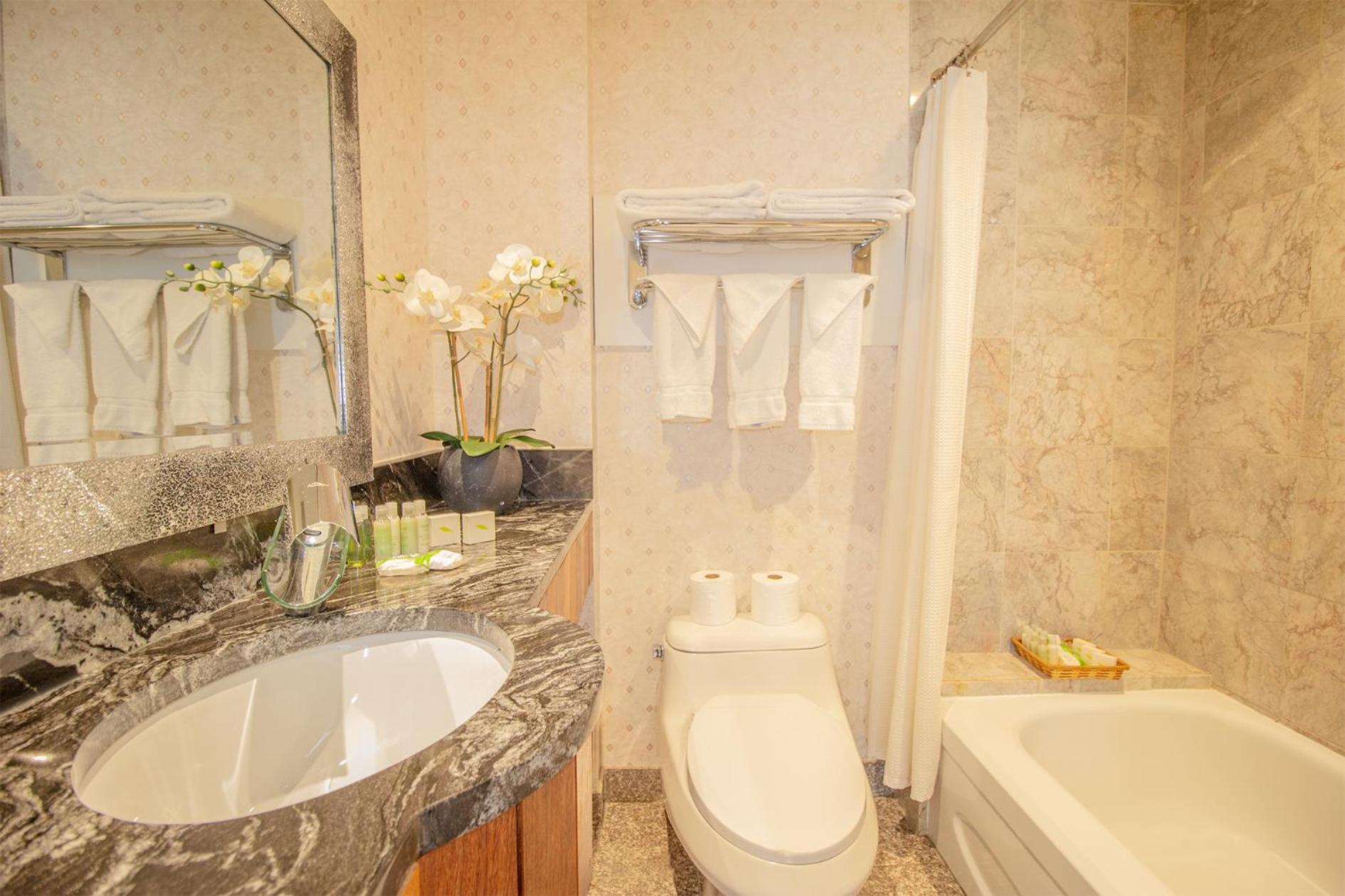 Deluxe King Suite - Photo 29
