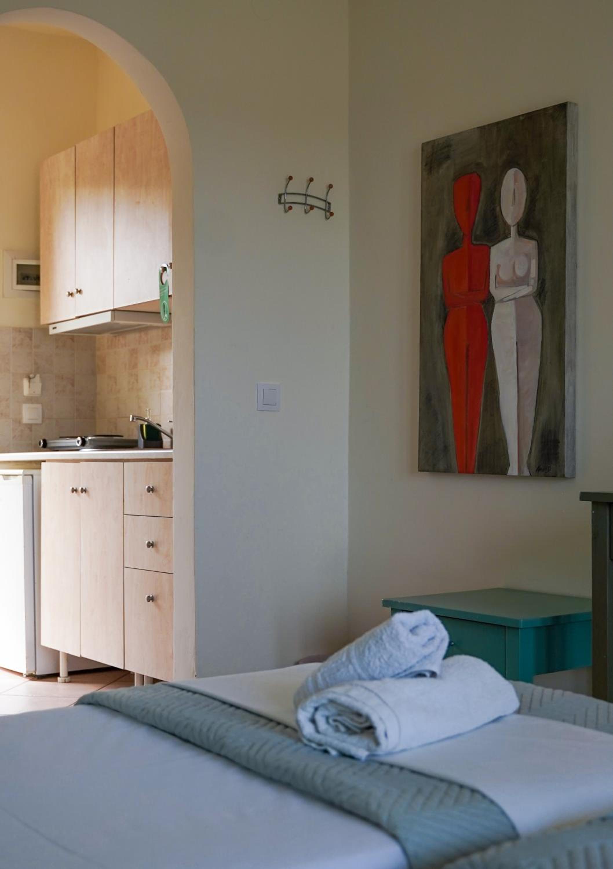 Studio Apartment - Photo 10