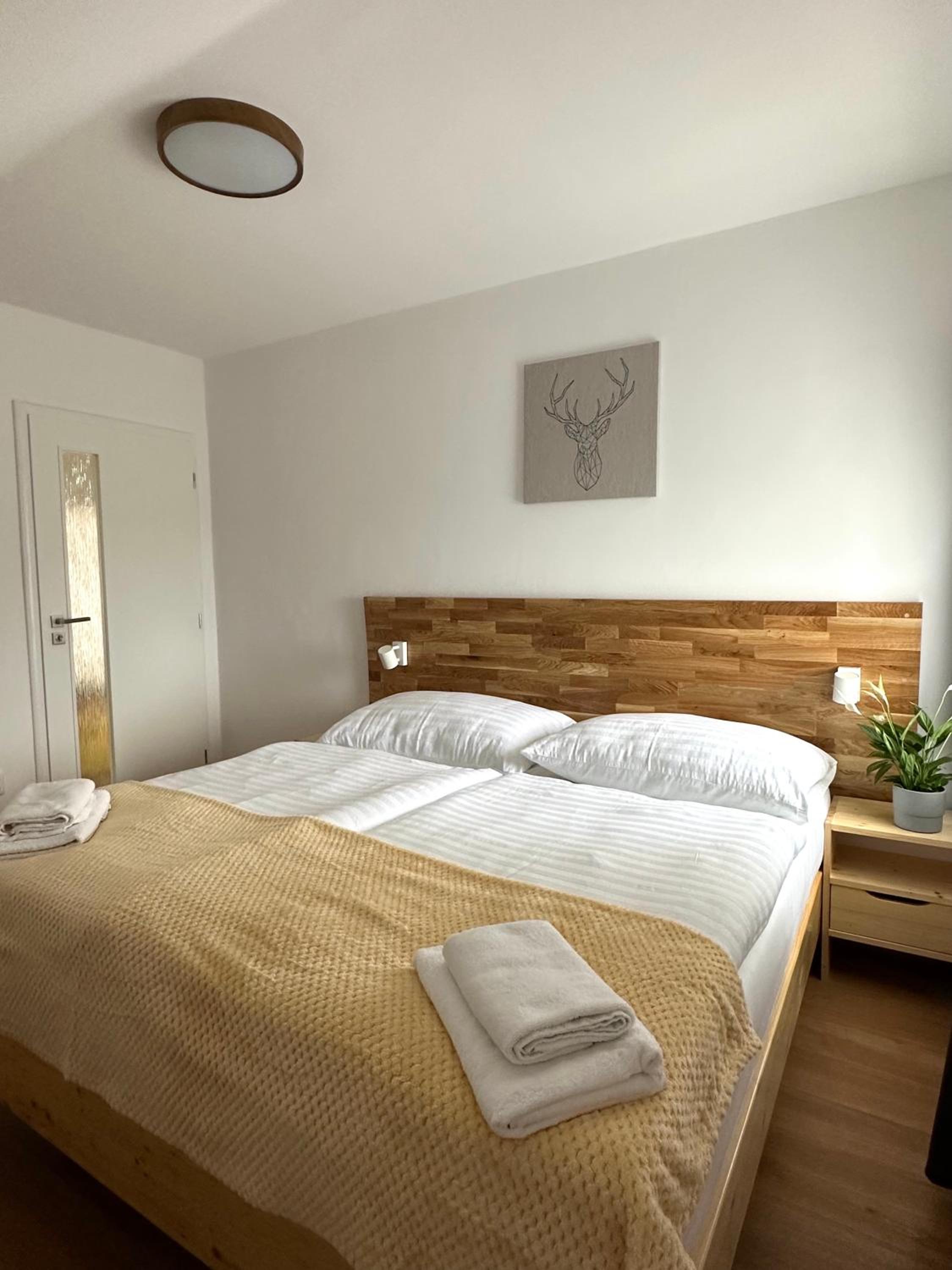 Superior Apartment