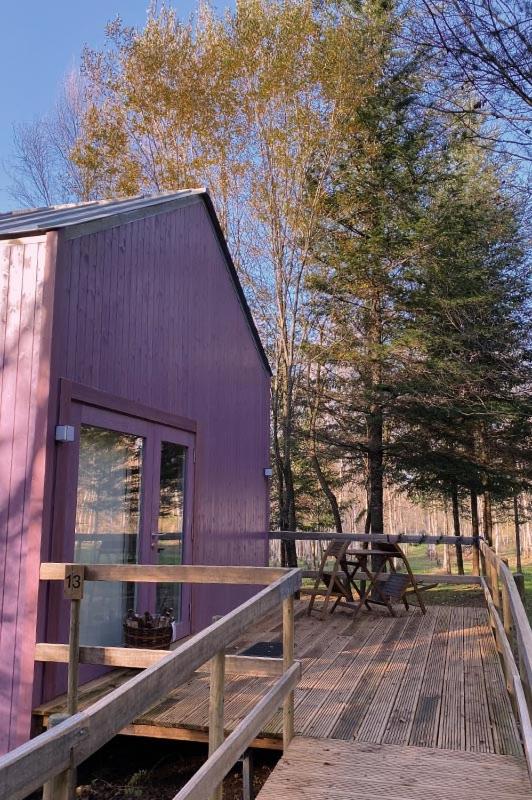 One-Bedroom Cottage - Photo 2