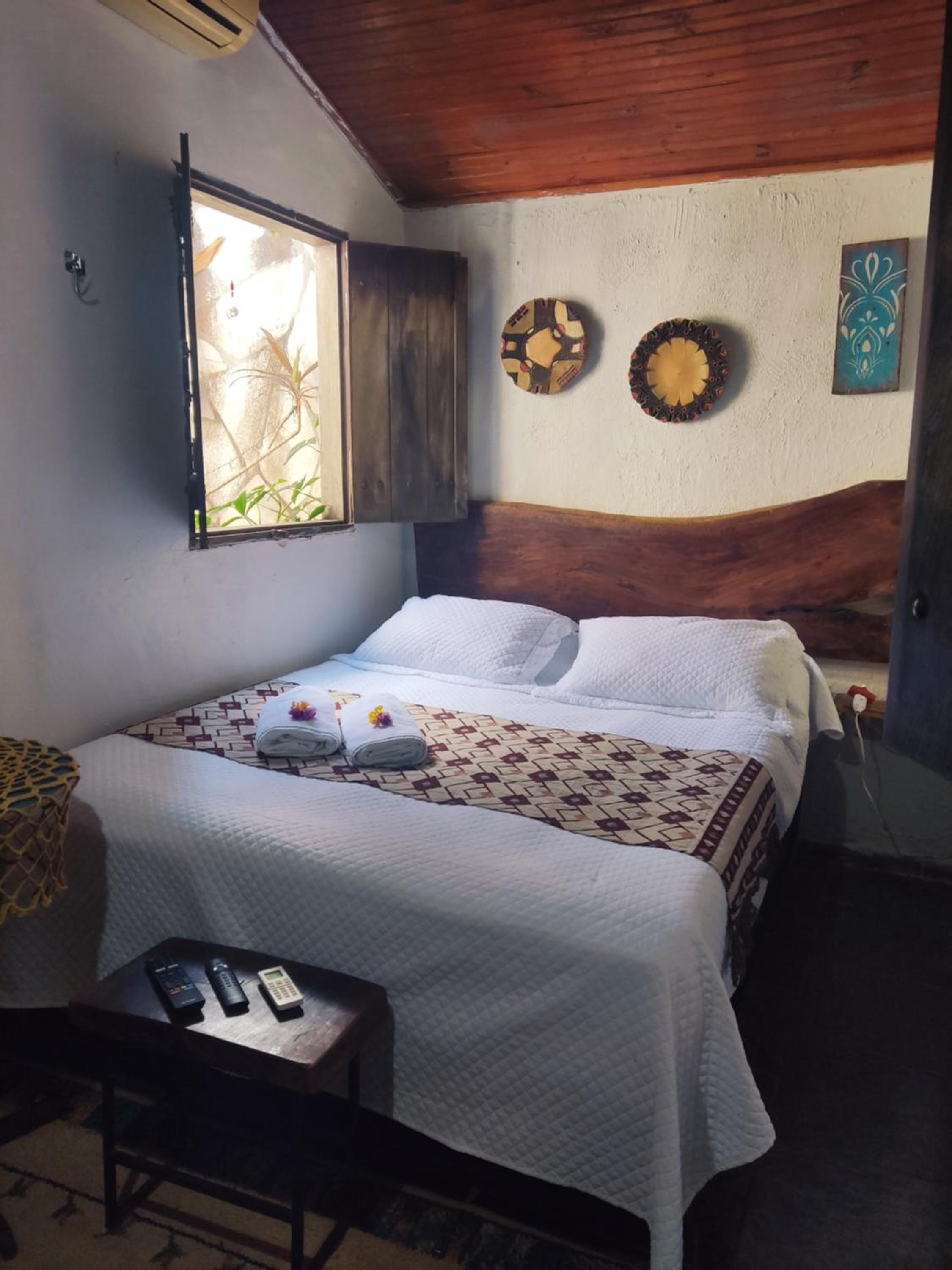 Suite - Photo 1