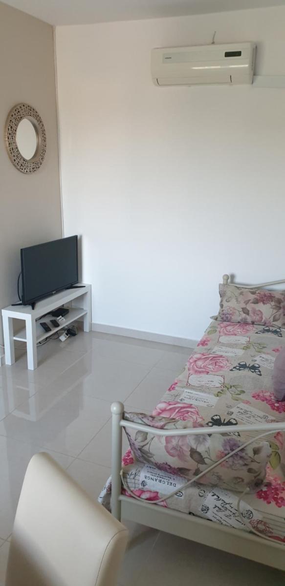 Apartment - Photo 2