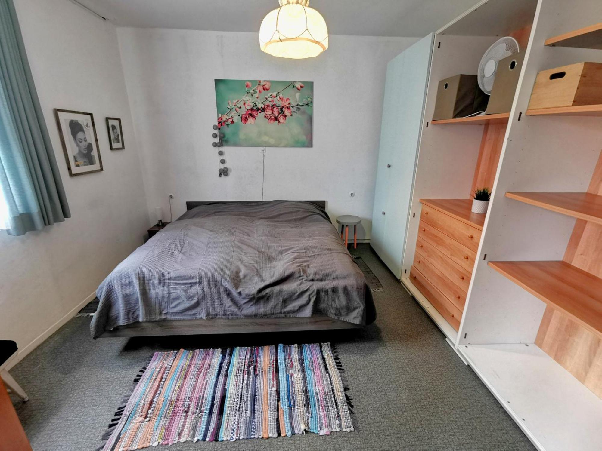 One-Bedroom House photo 2