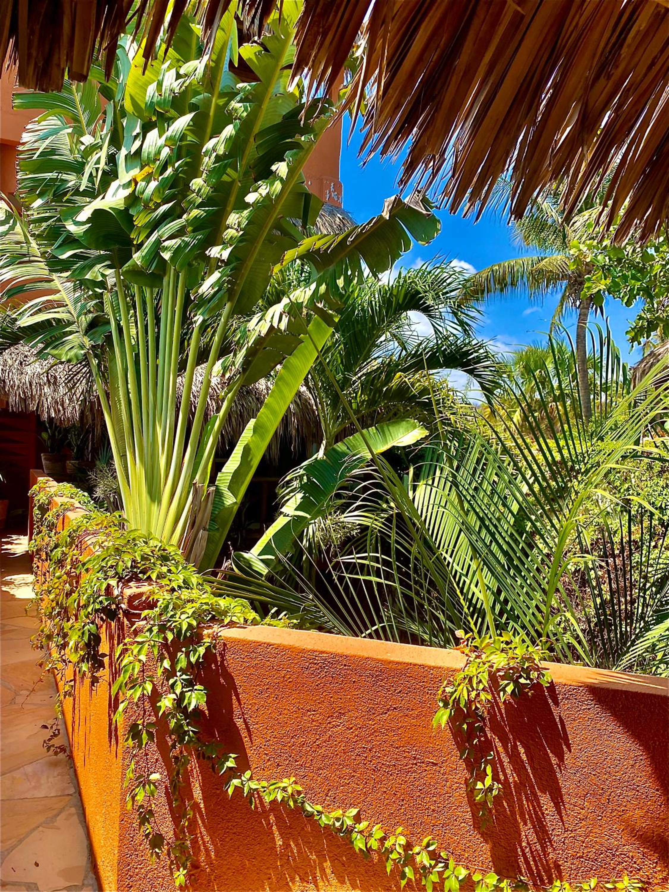Bungalow with Garden View - Photo 3